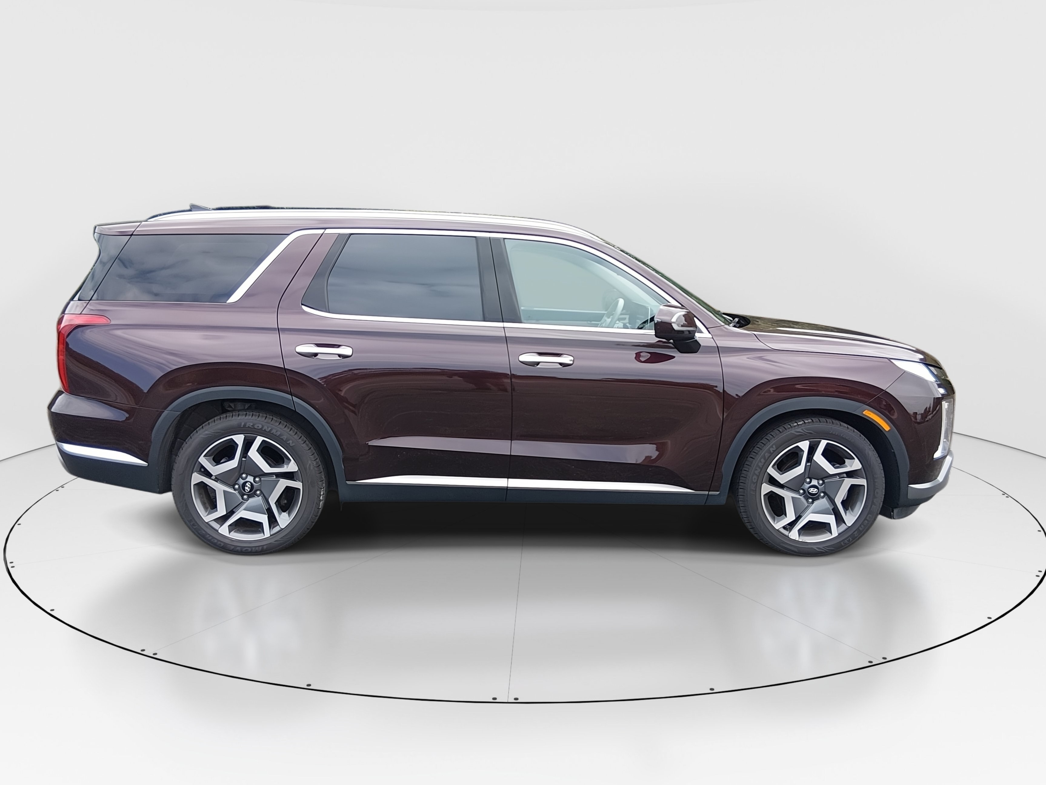 2024 Hyundai Palisade Limited - Photo 8