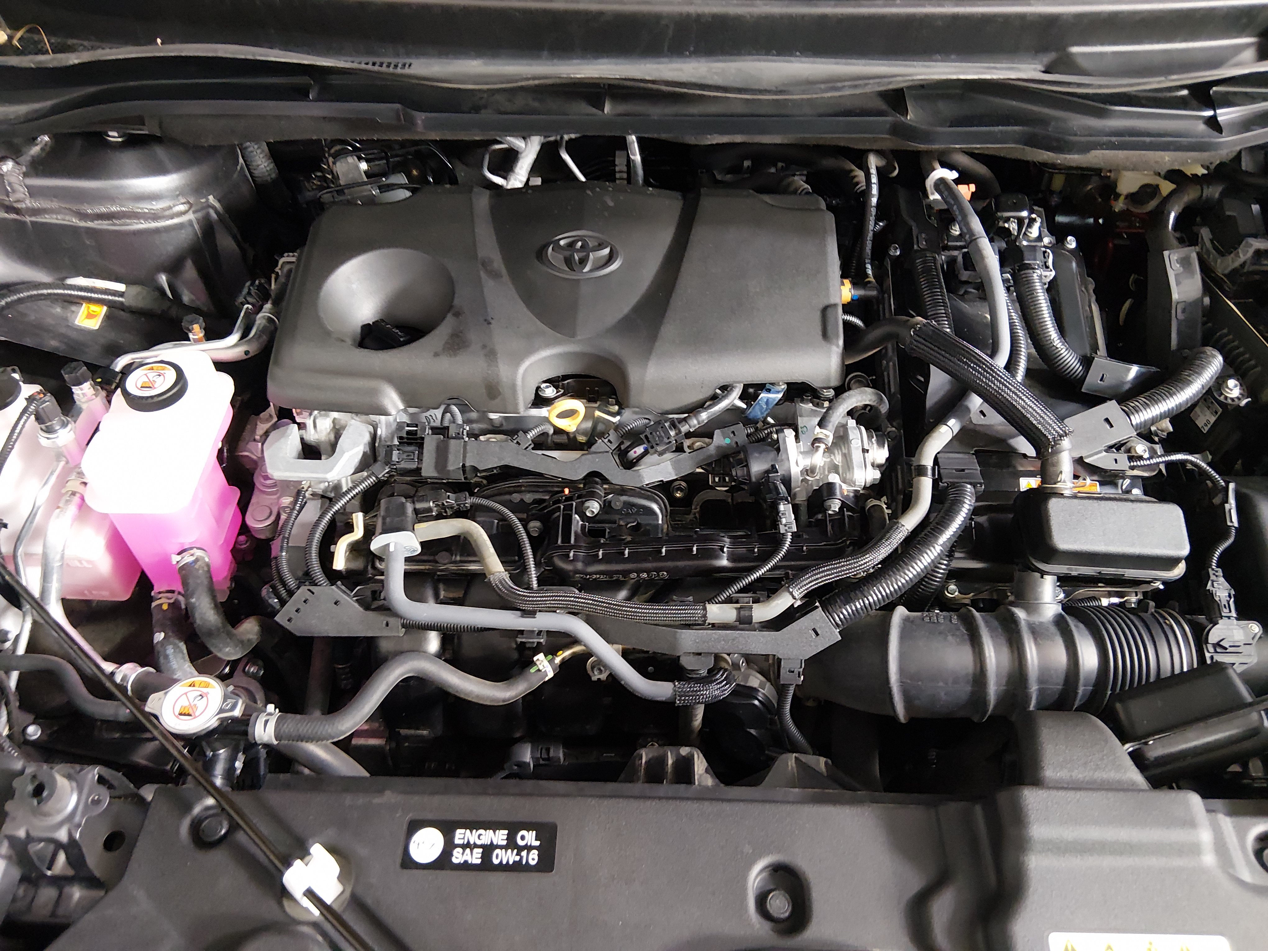 2025 Toyota Sienna XLE - Photo 9
