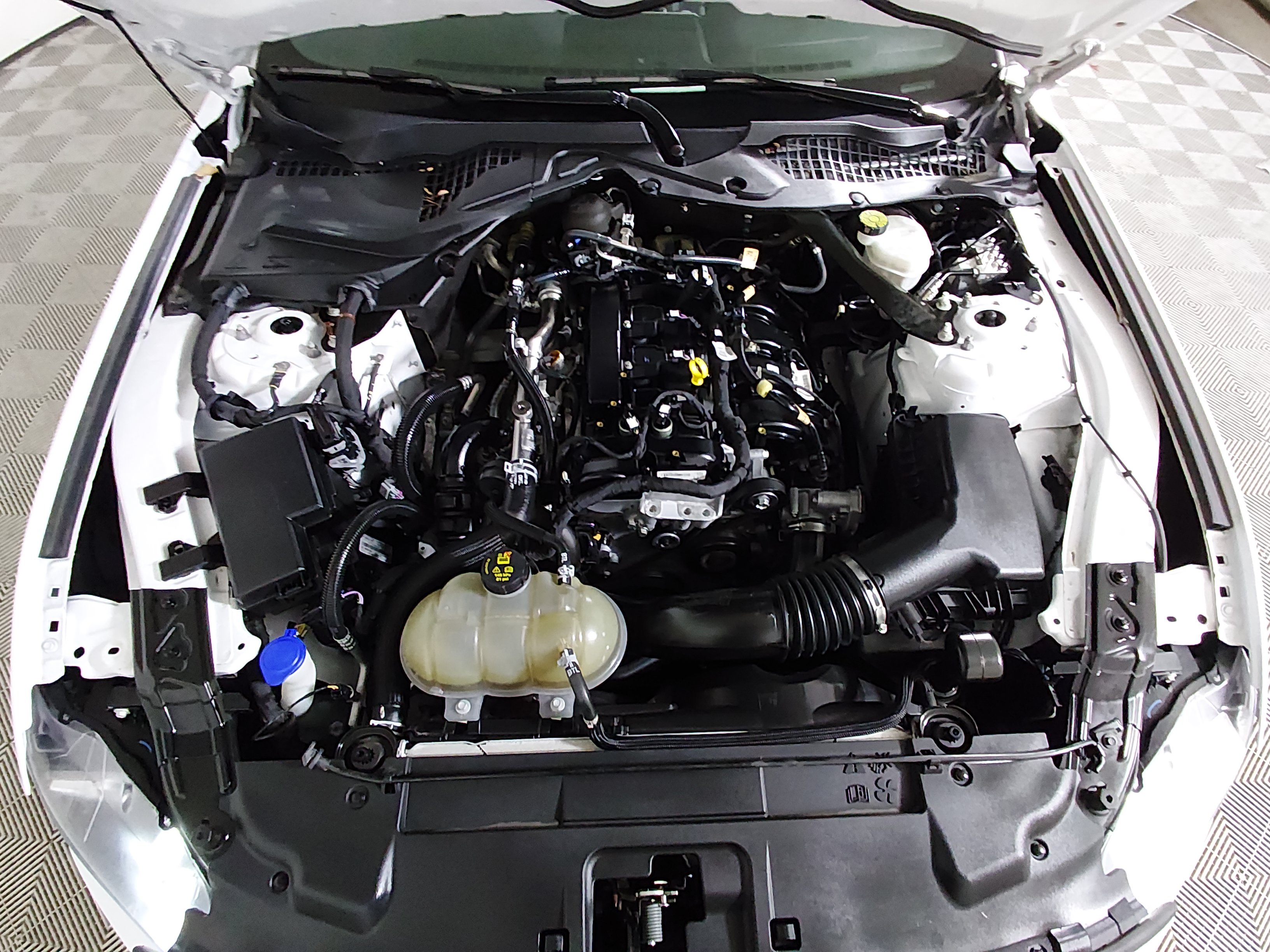 2023 Ford Mustang EcoBoost Premium - Photo 9