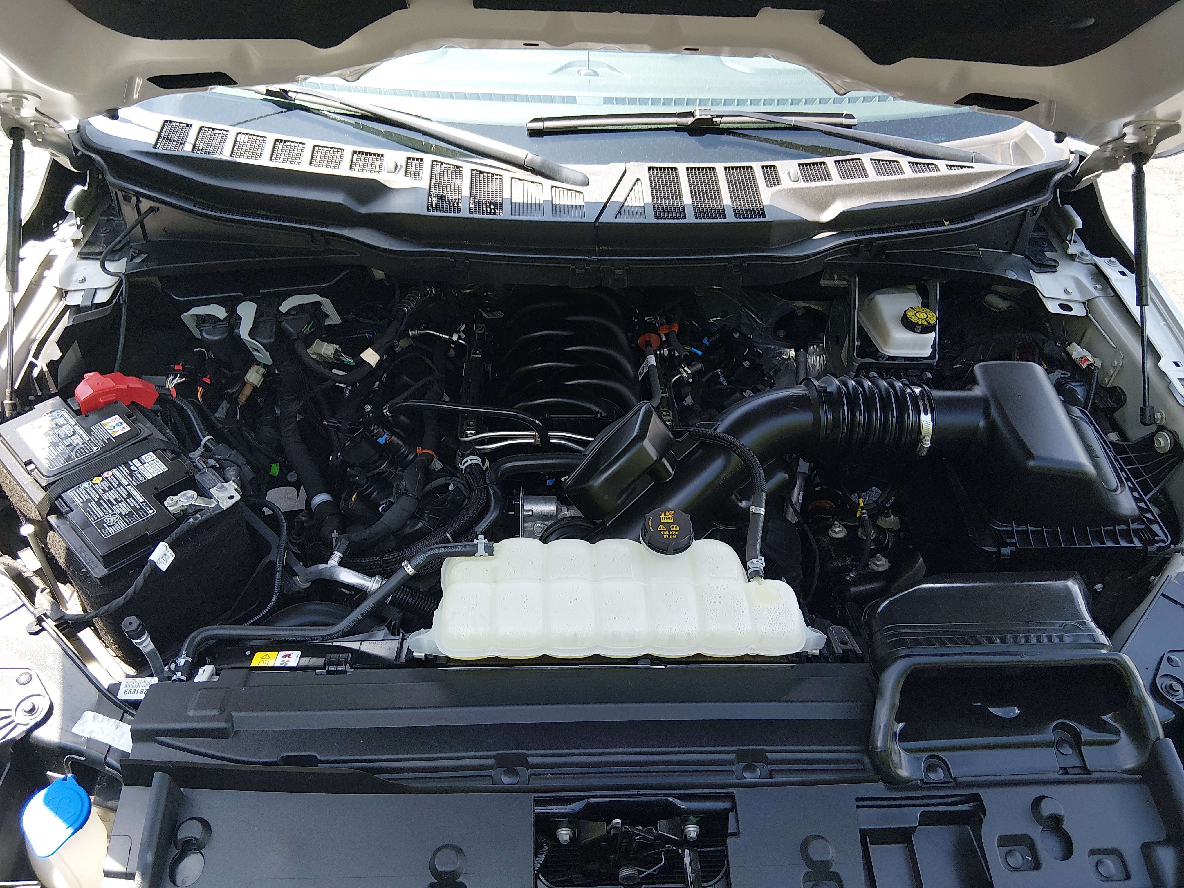 2025 Ford F-150 XLT - Photo 9