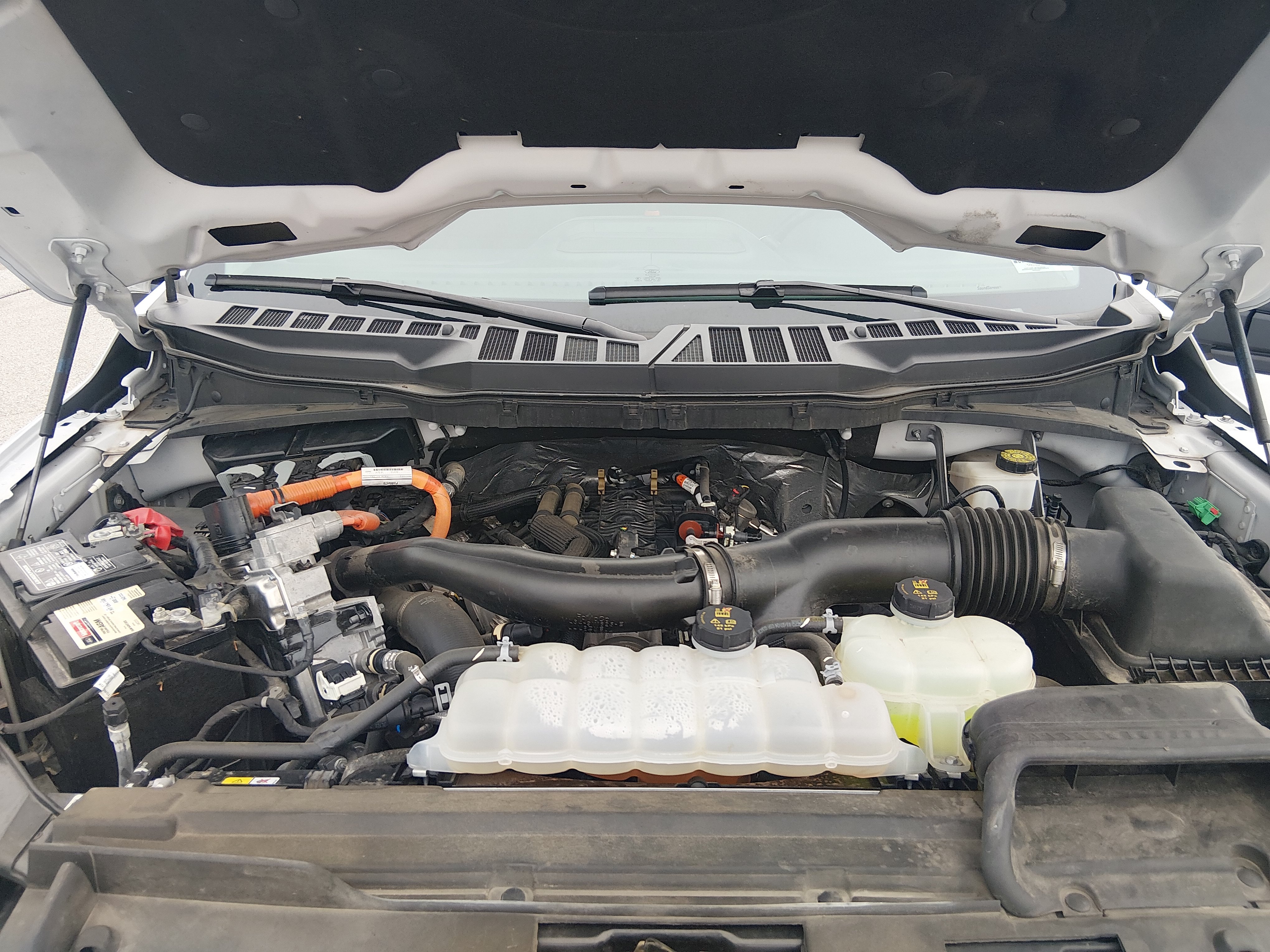 2024 Ford F-150 XLT - Photo 9