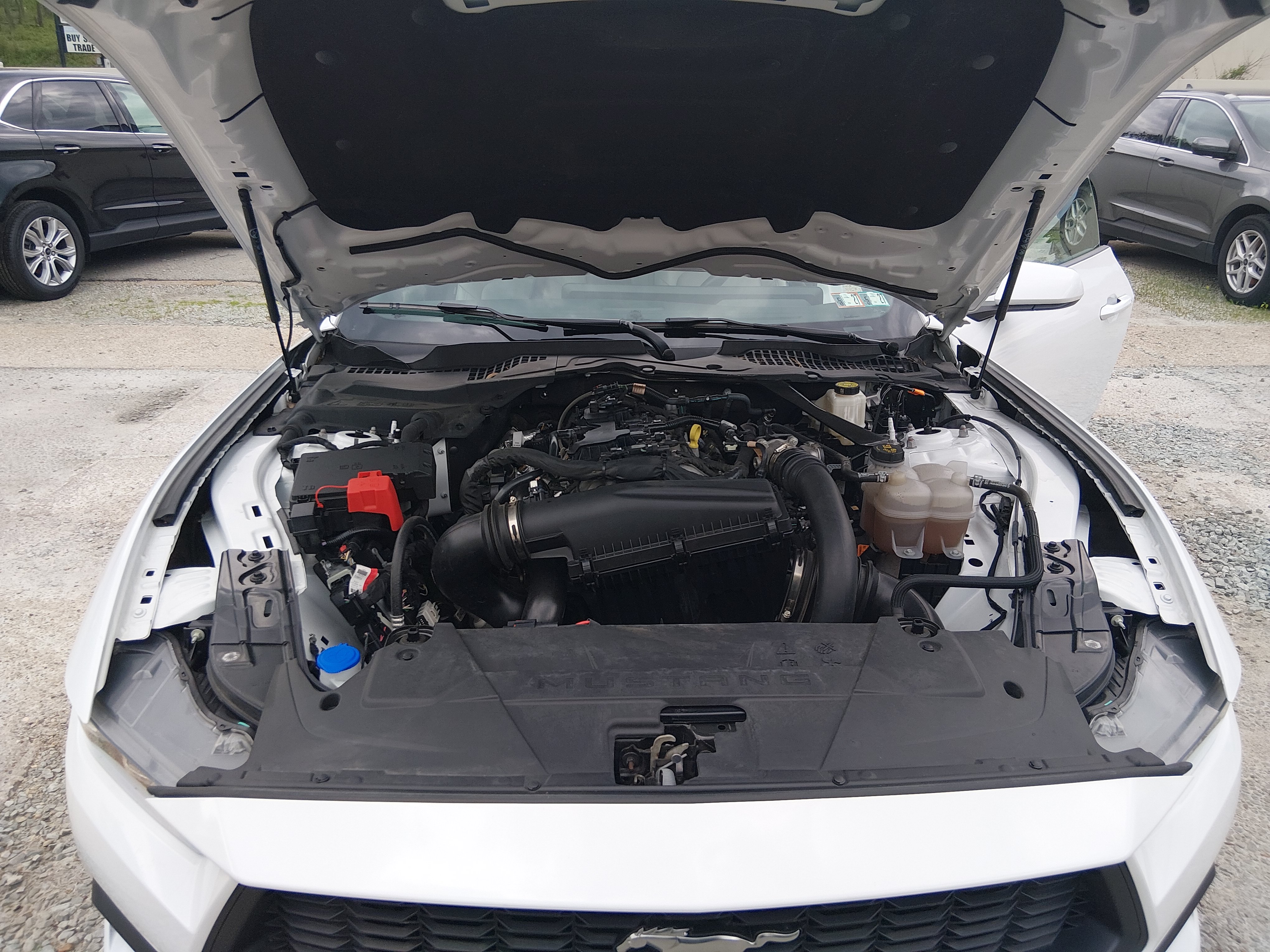 2024 Ford Mustang EcoBoost Premium - Photo 9