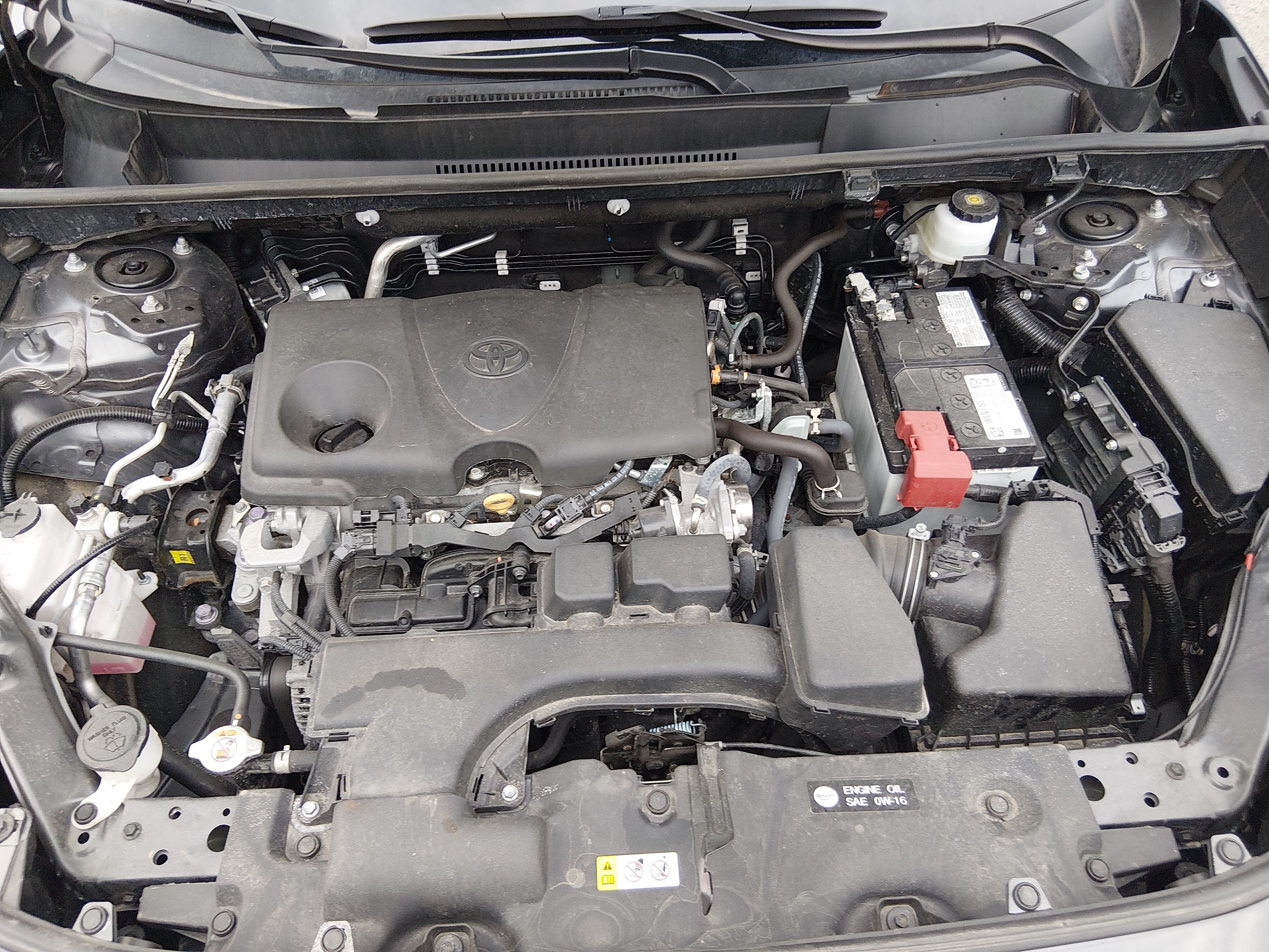 2025 Toyota RAV4 XLE - Photo 9