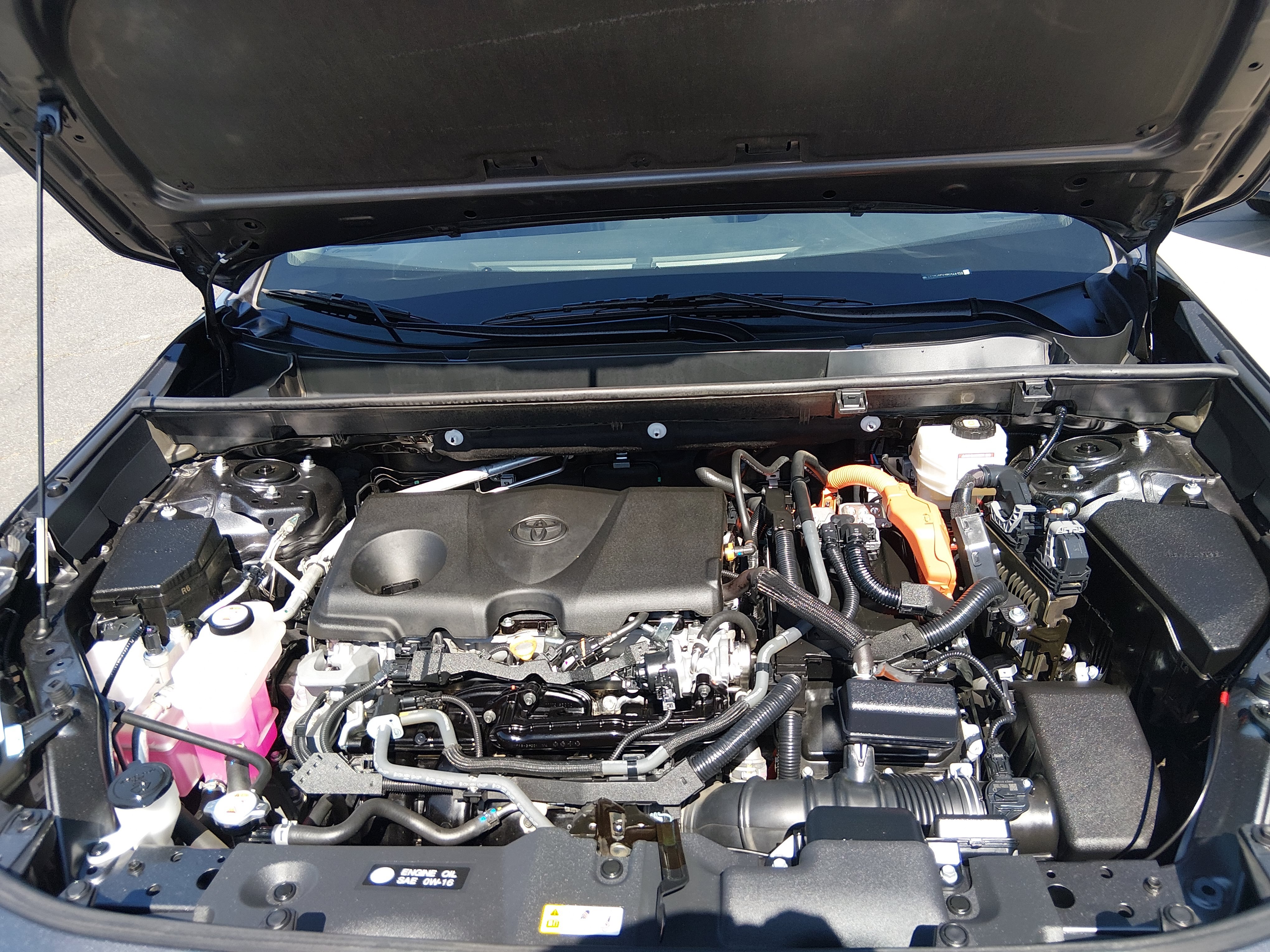 2024 Toyota RAV4 XLE - Photo 9