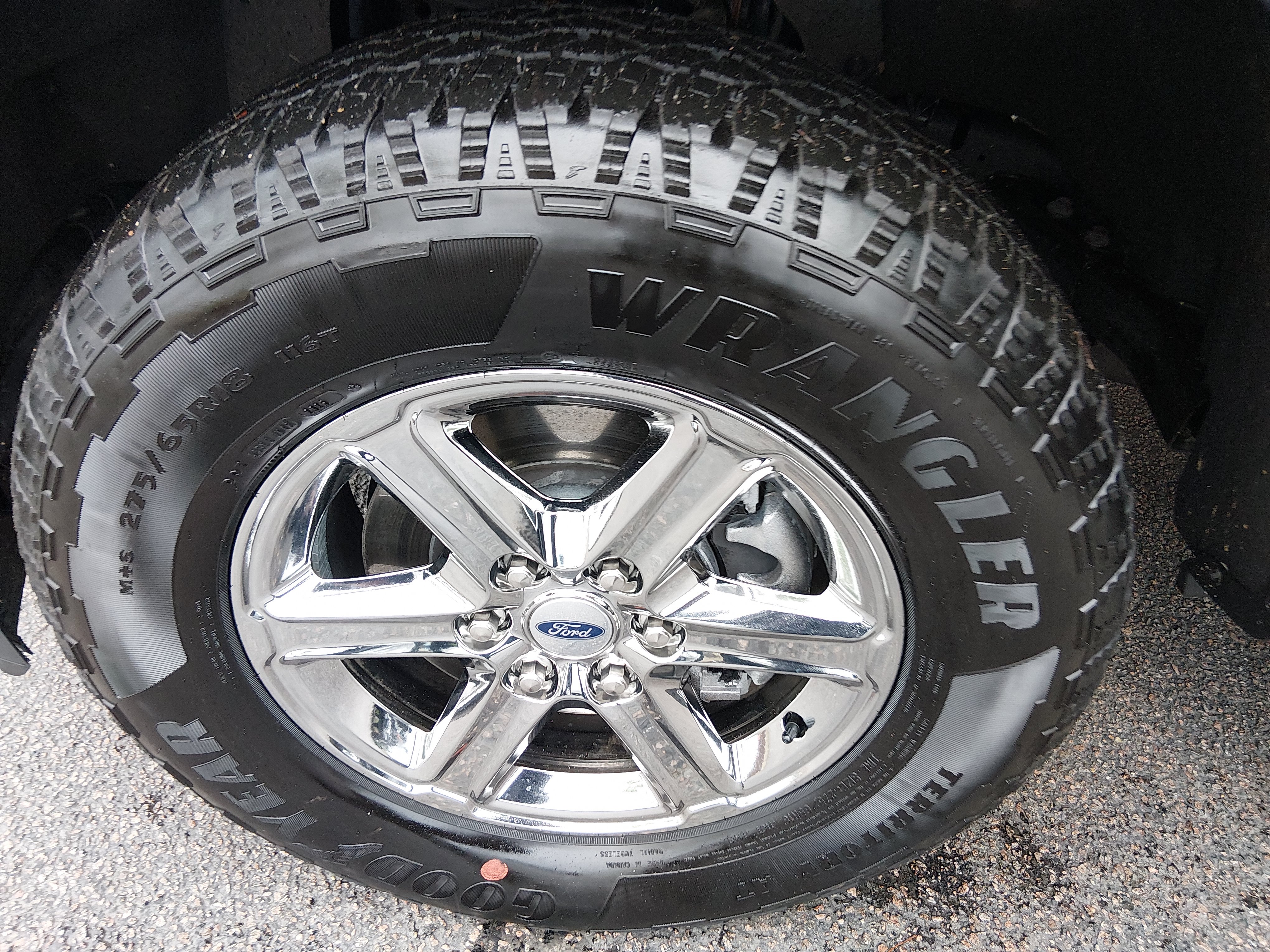 2025 Ford F-150 XLT - Photo 10