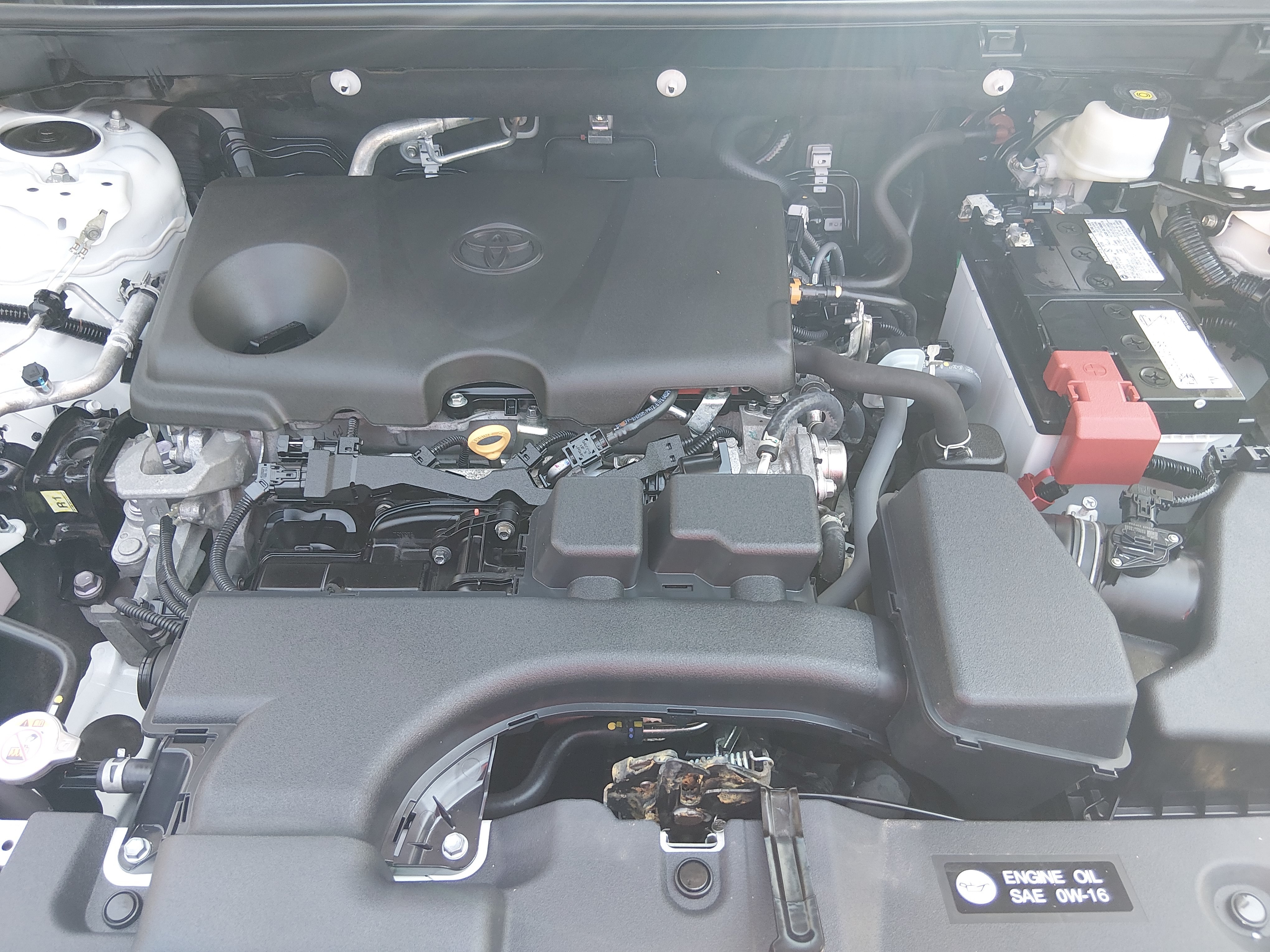 2024 Toyota RAV4 XLE - Photo 9