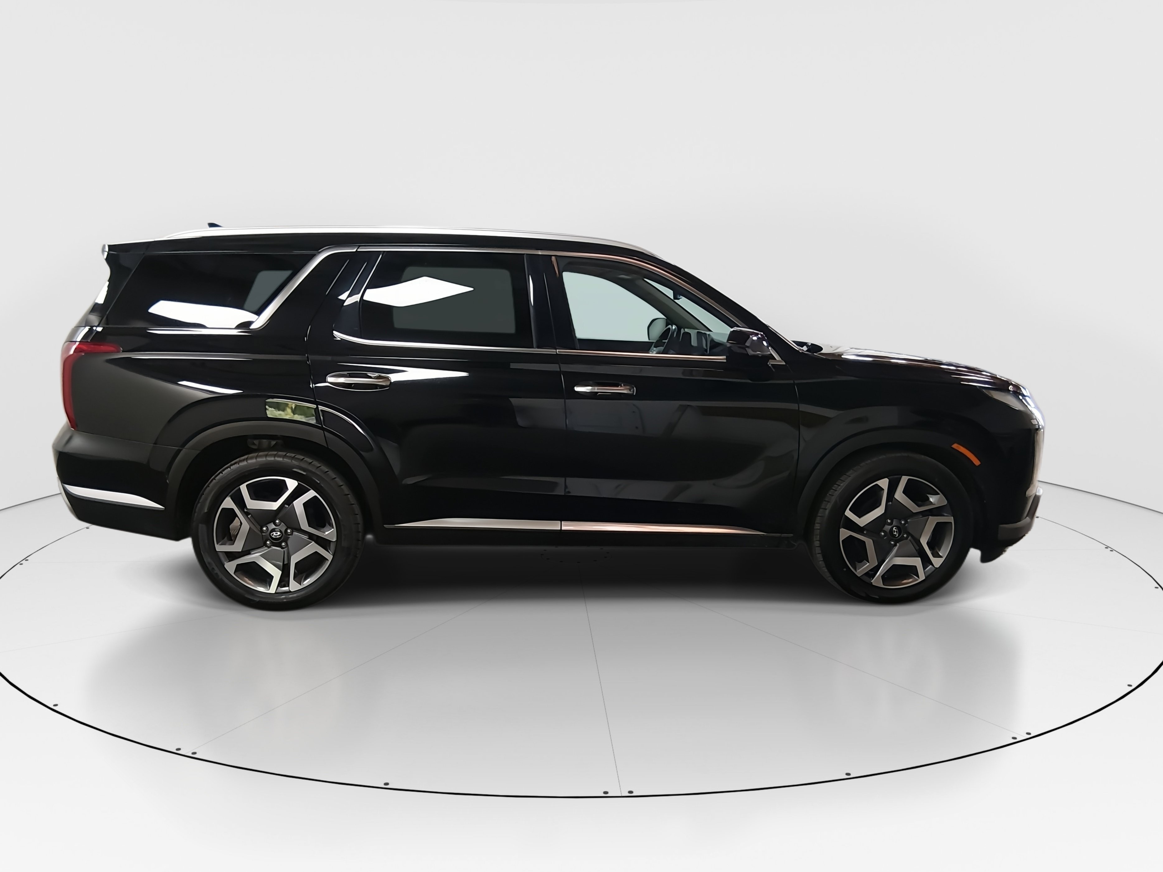 2024 Hyundai Palisade Limited - Photo 8