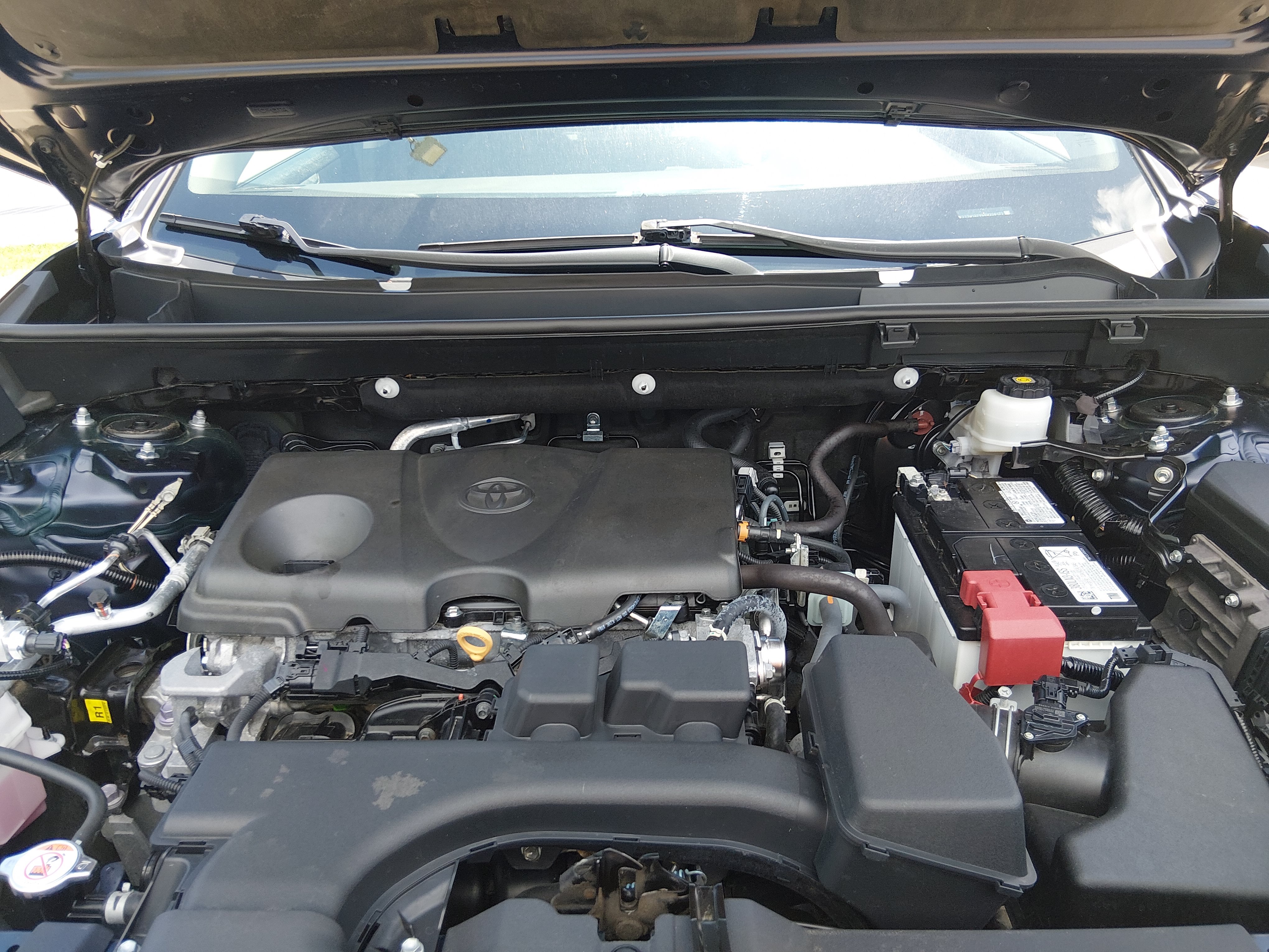 2024 Toyota RAV4 XLE - Photo 9