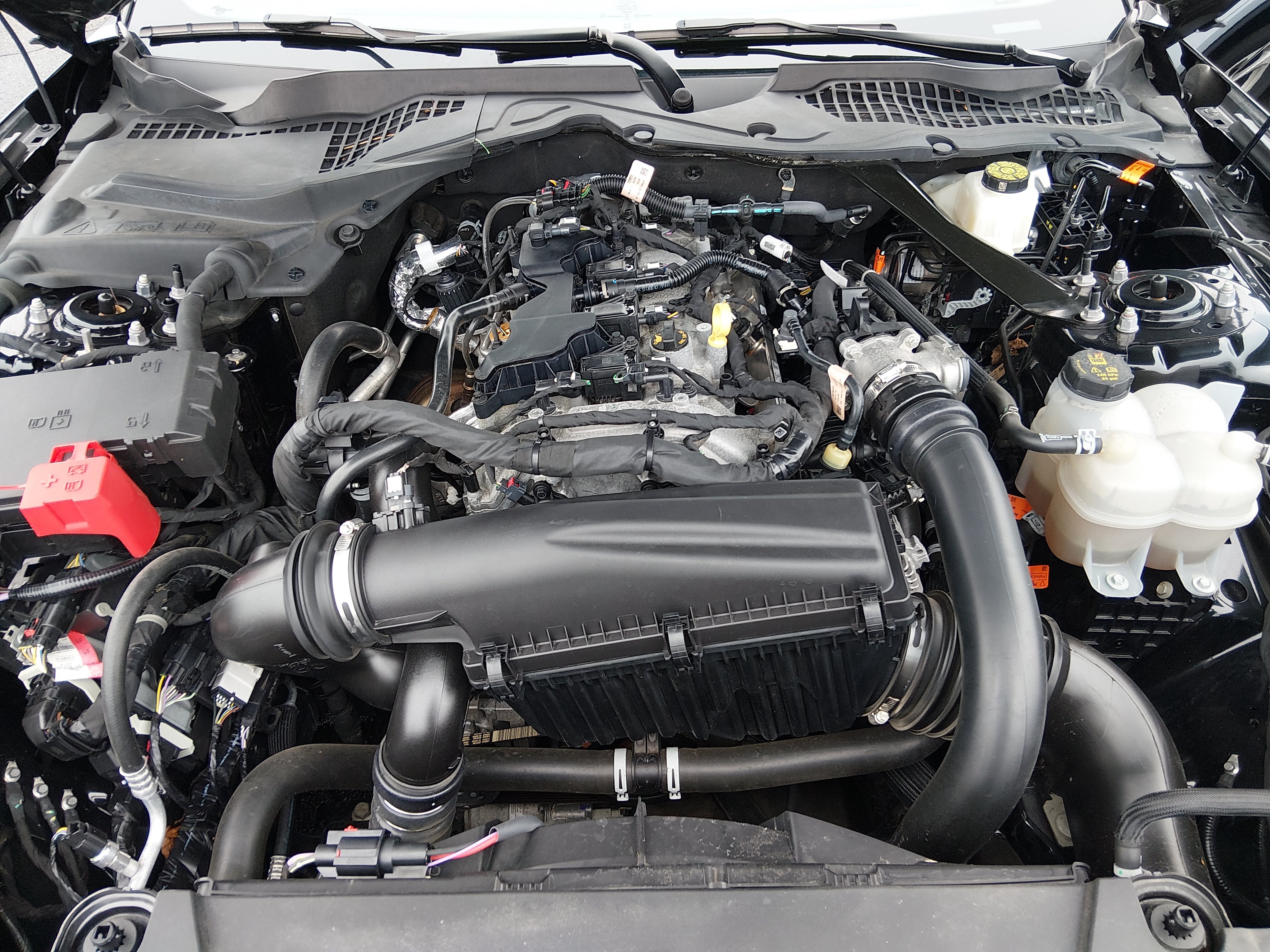 2024 Ford Mustang EcoBoost Premium - Photo 9