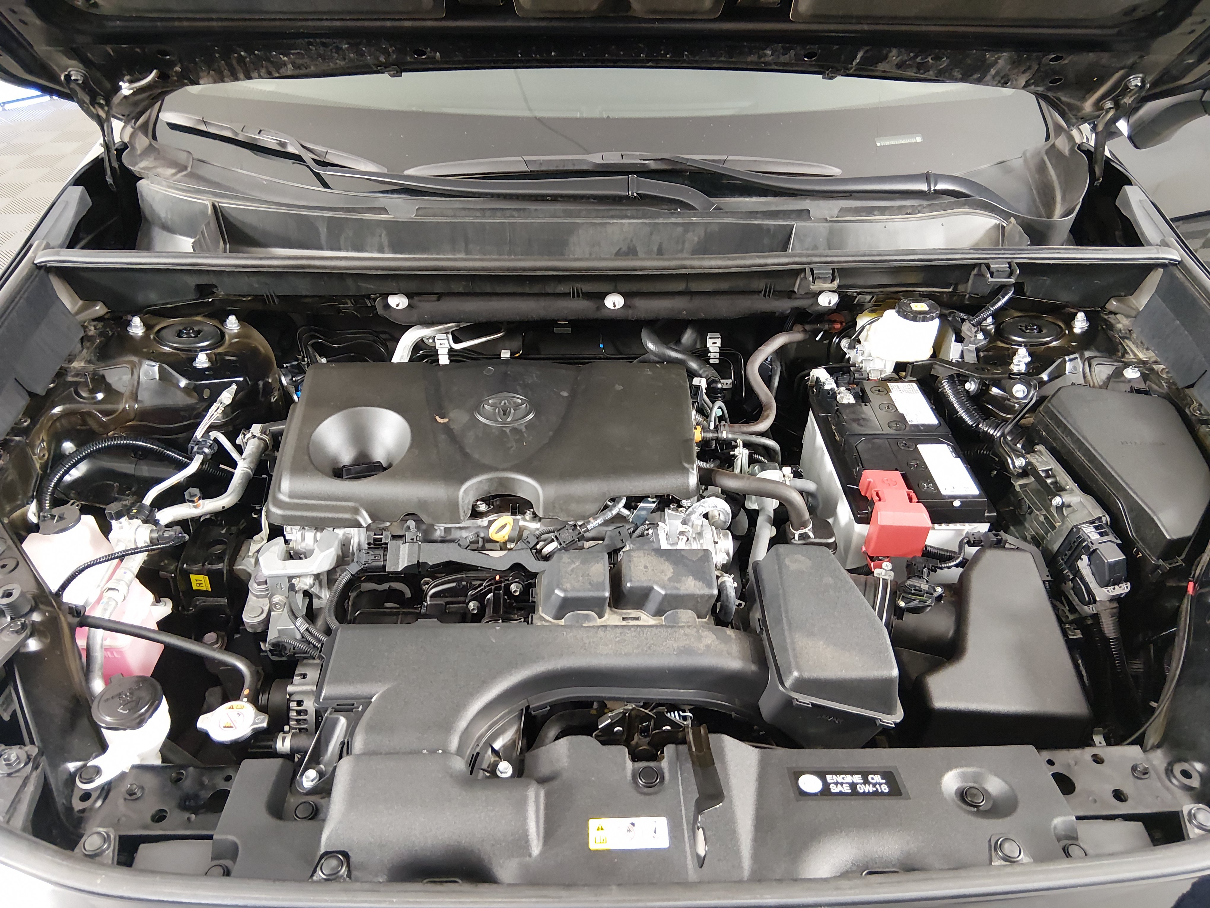 2025 Toyota RAV4 XLE - Photo 9
