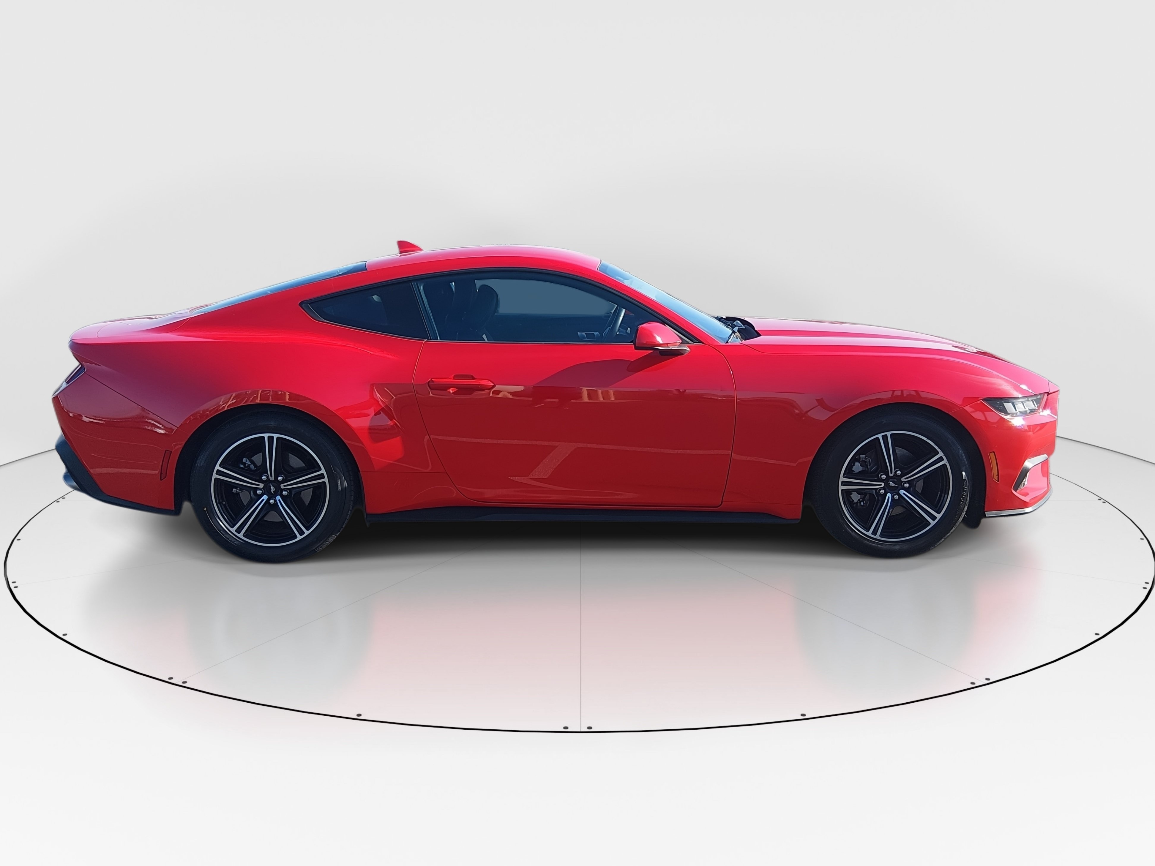 2024 Ford Mustang EcoBoost - Photo 8