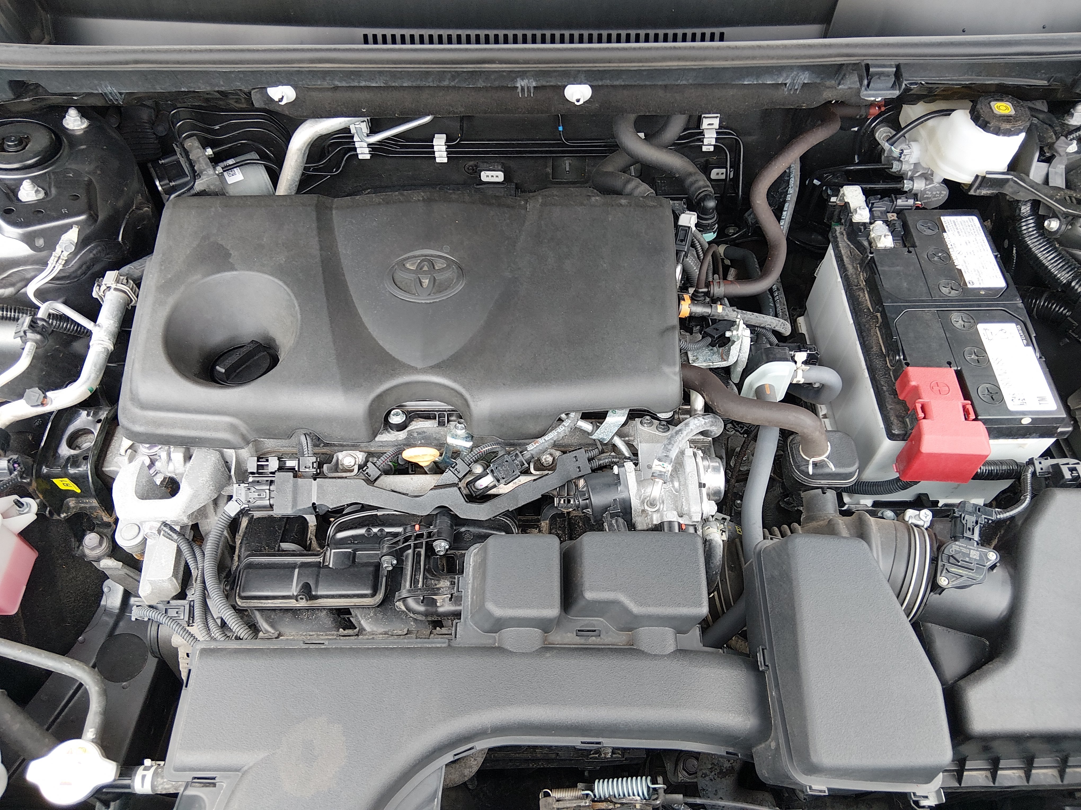 2025 Toyota RAV4 XLE - Photo 9