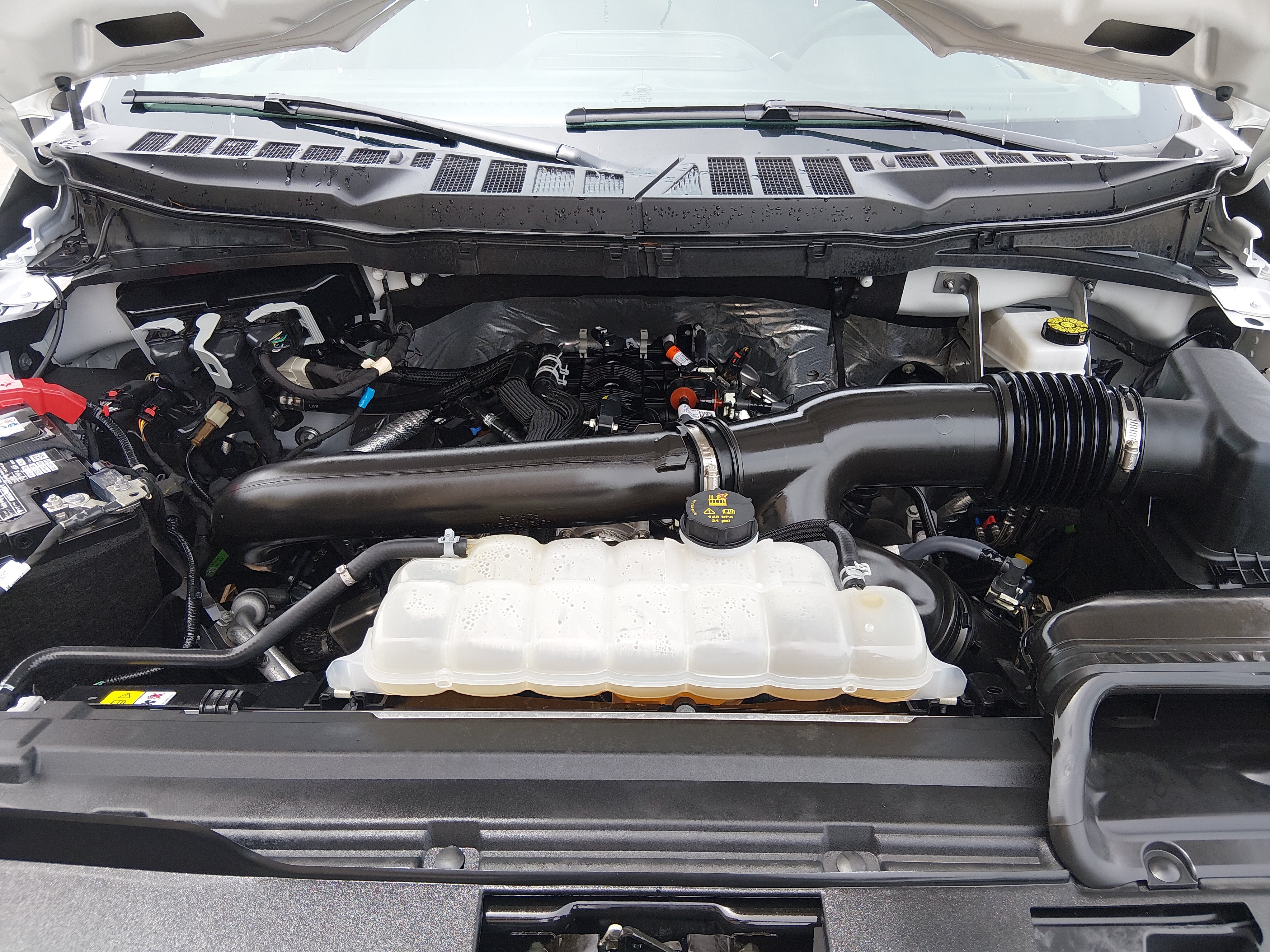 2025 Ford F-150 XLT - Photo 9