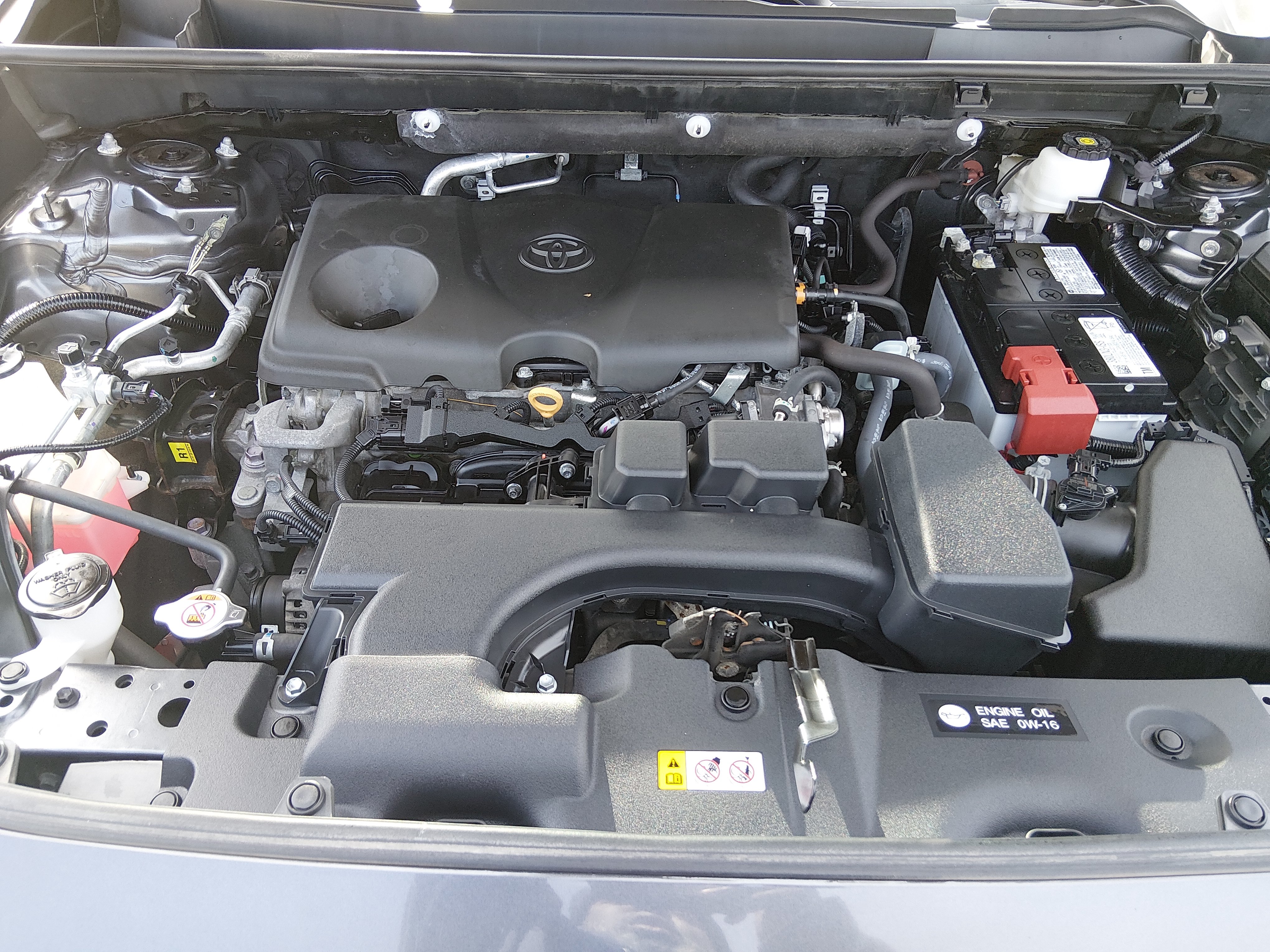 2024 Toyota RAV4 XLE - Photo 9