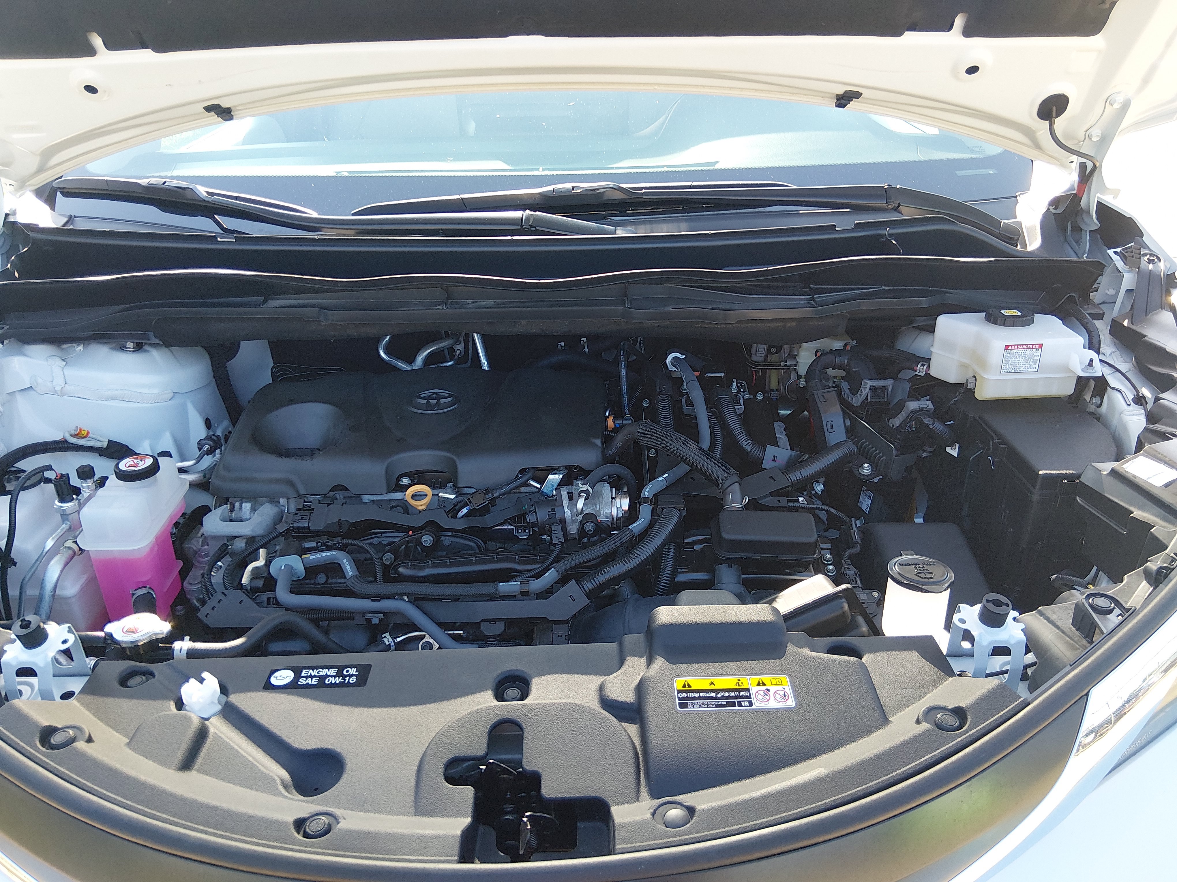 2025 Toyota Sienna XLE - Photo 9
