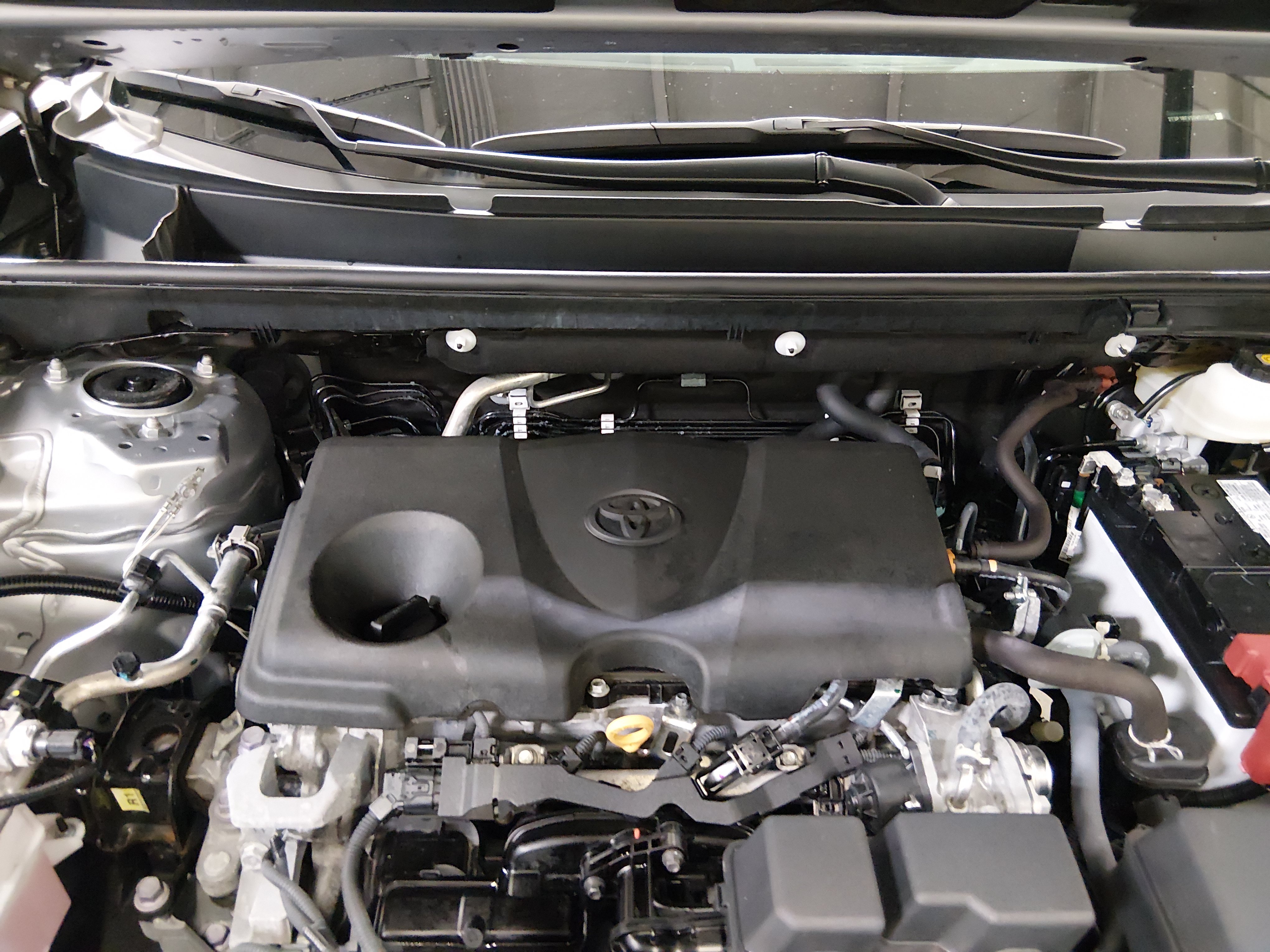 2025 Toyota RAV4 XLE - Photo 9