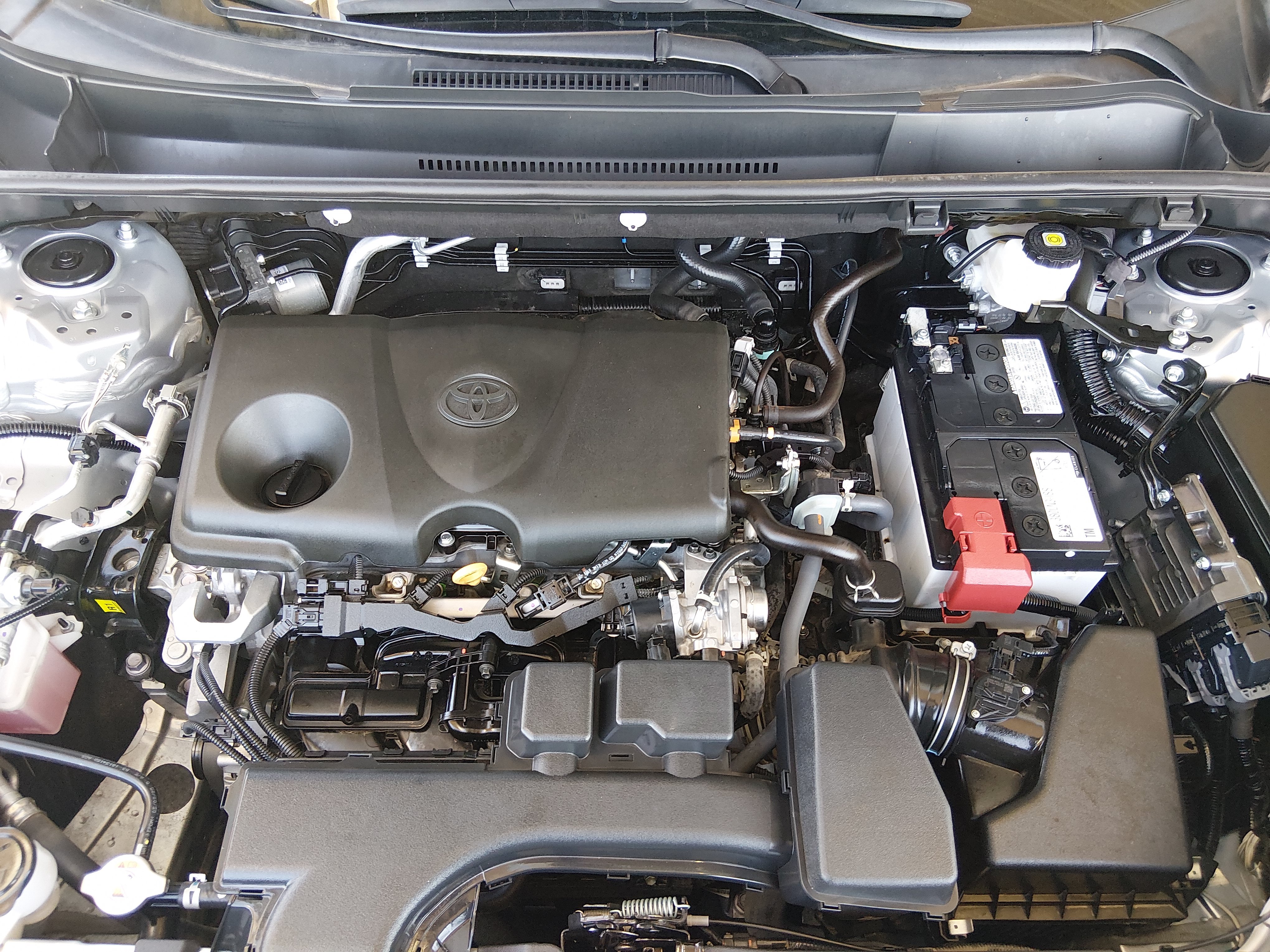 2025 Toyota RAV4 XLE - Photo 9