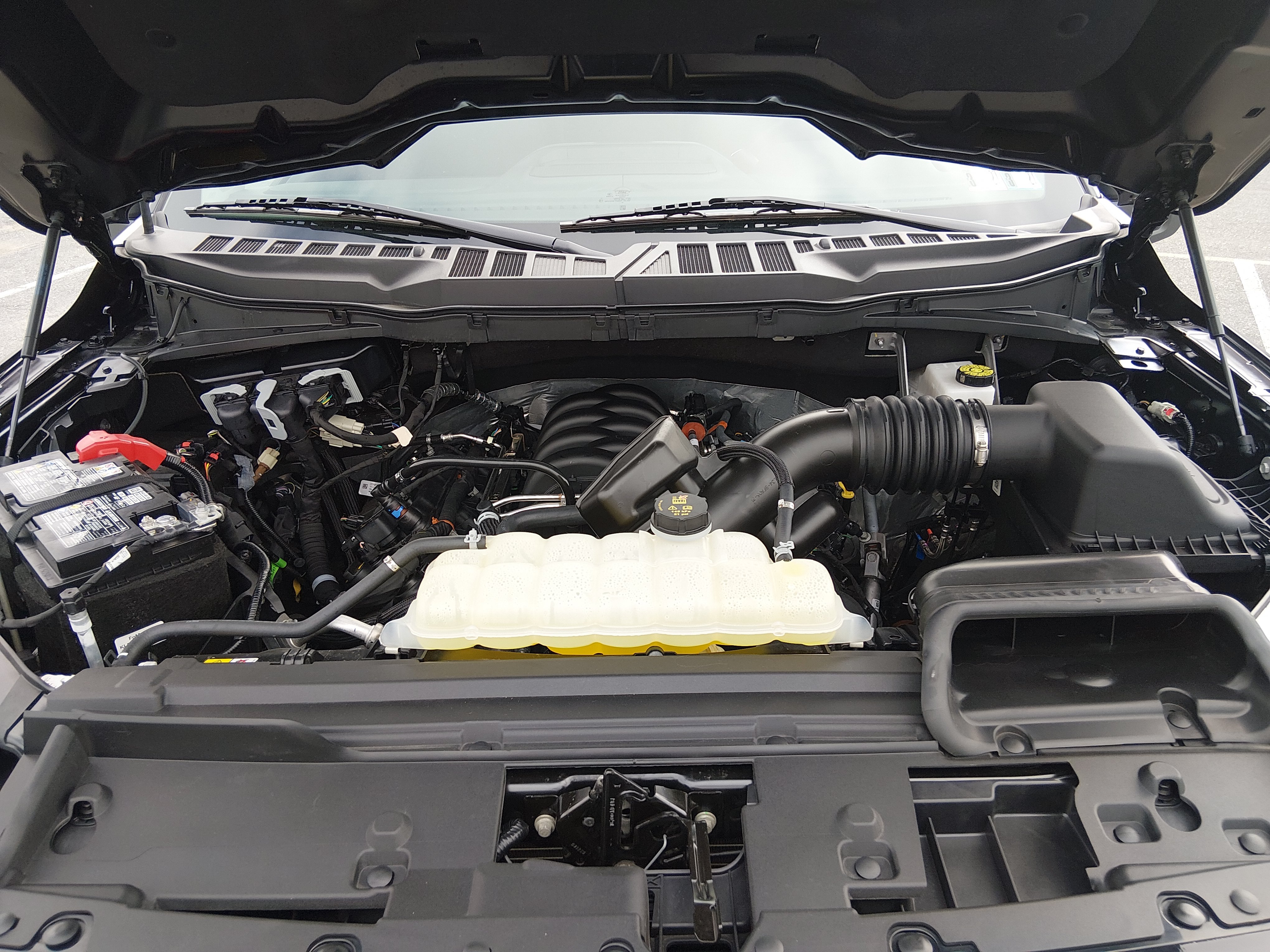 2025 Ford F-150 XLT - Photo 9