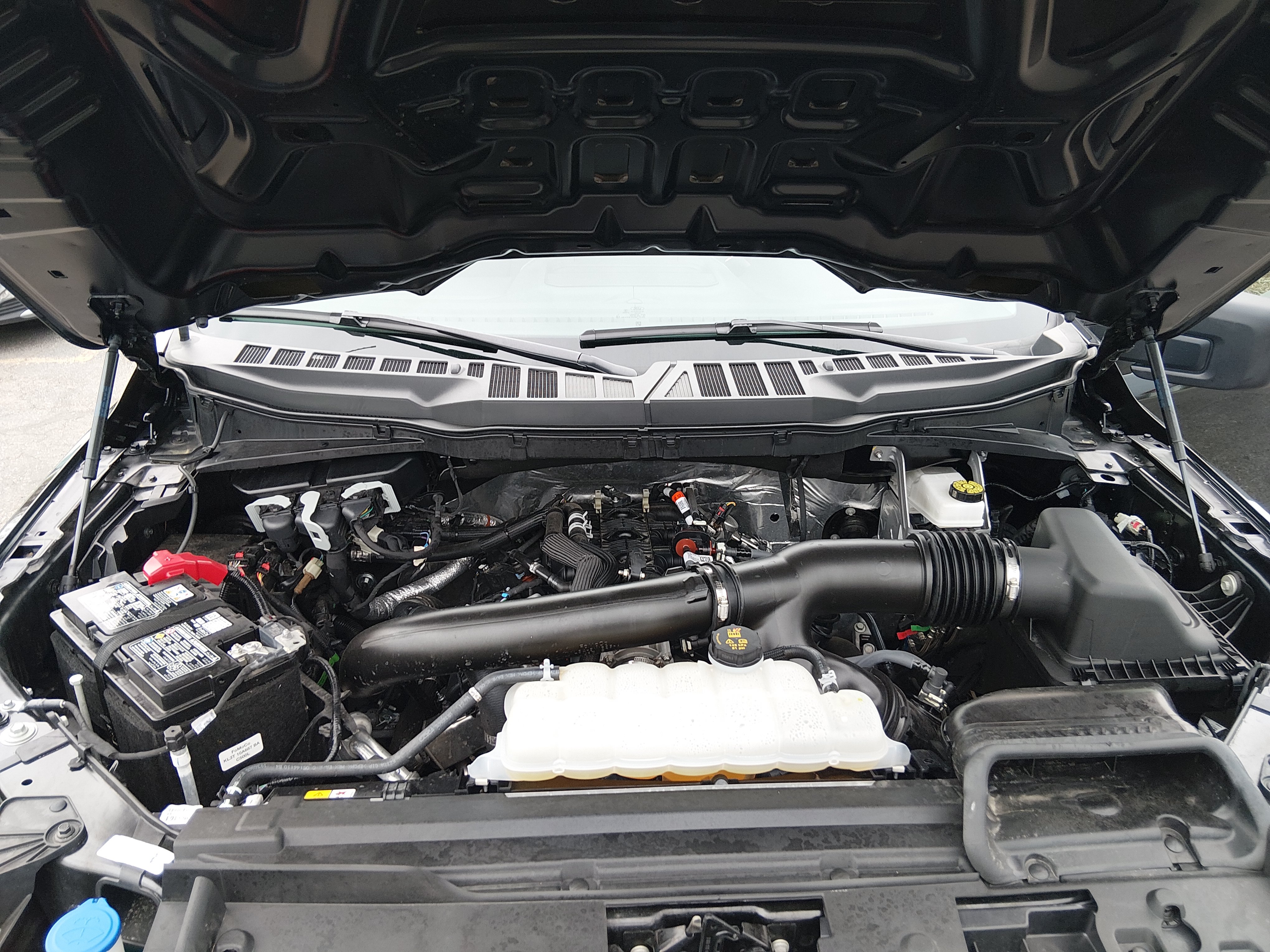 2025 Ford F-150 XLT - Photo 9