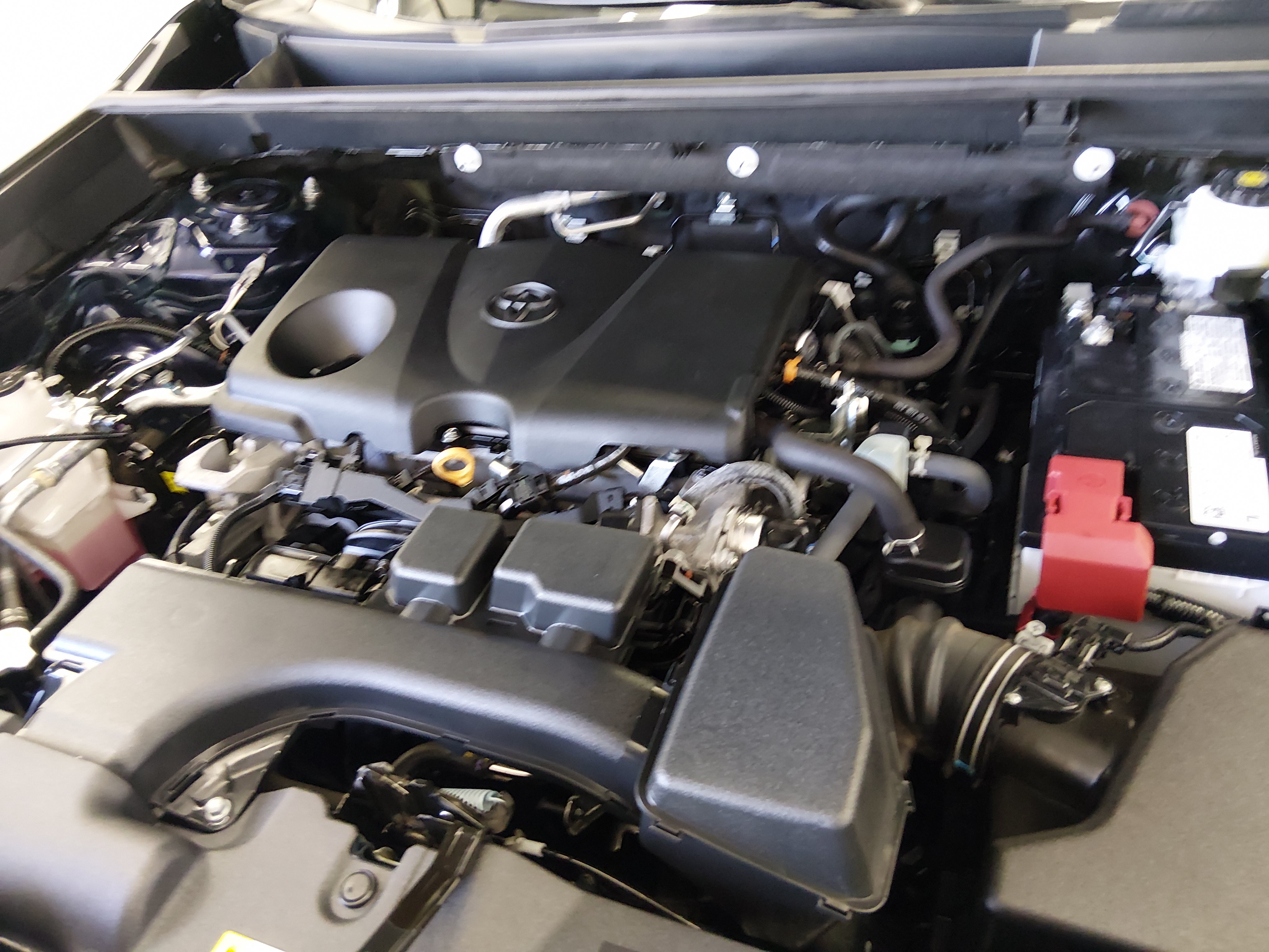 2024 Toyota RAV4 XLE - Photo 9