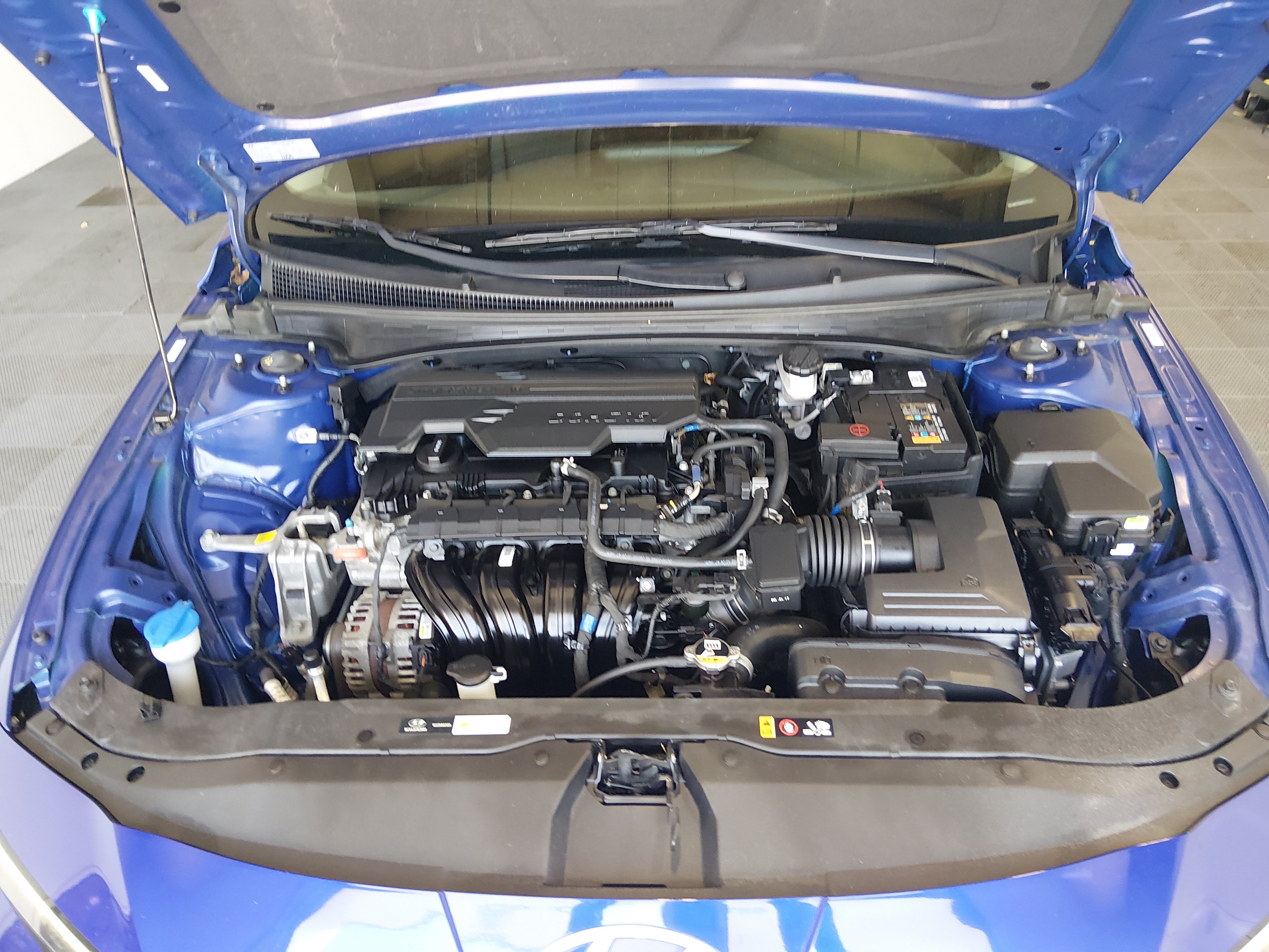 2024 Hyundai Elantra Limited - Photo 9