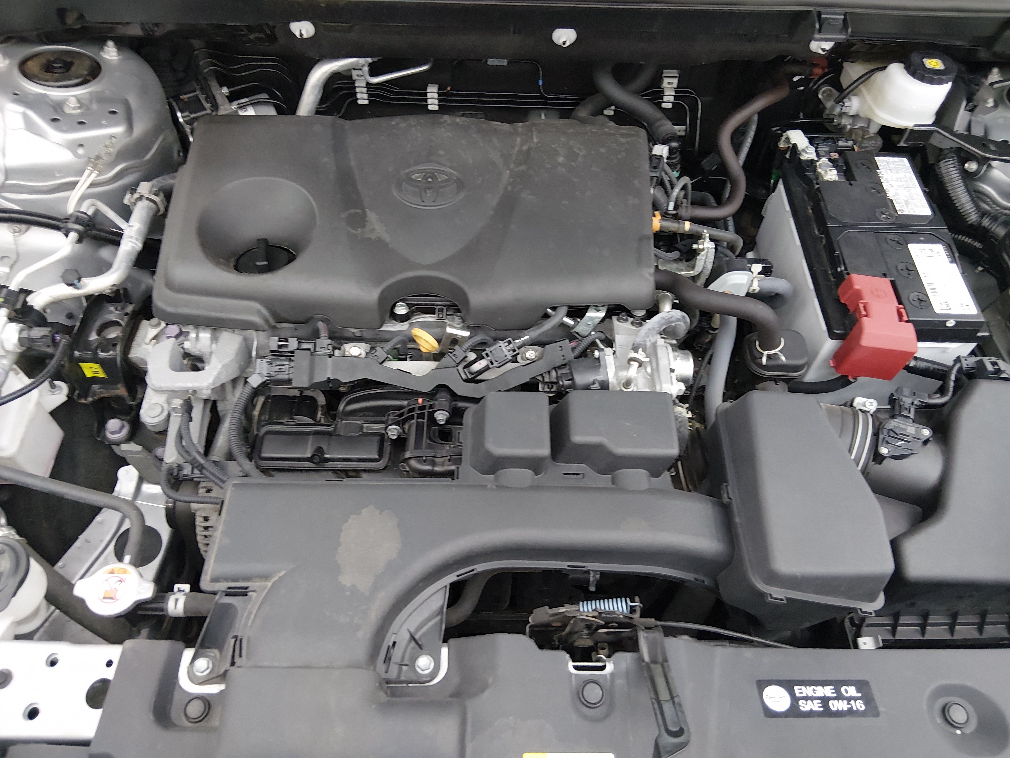 2024 Toyota RAV4 XLE - Photo 9