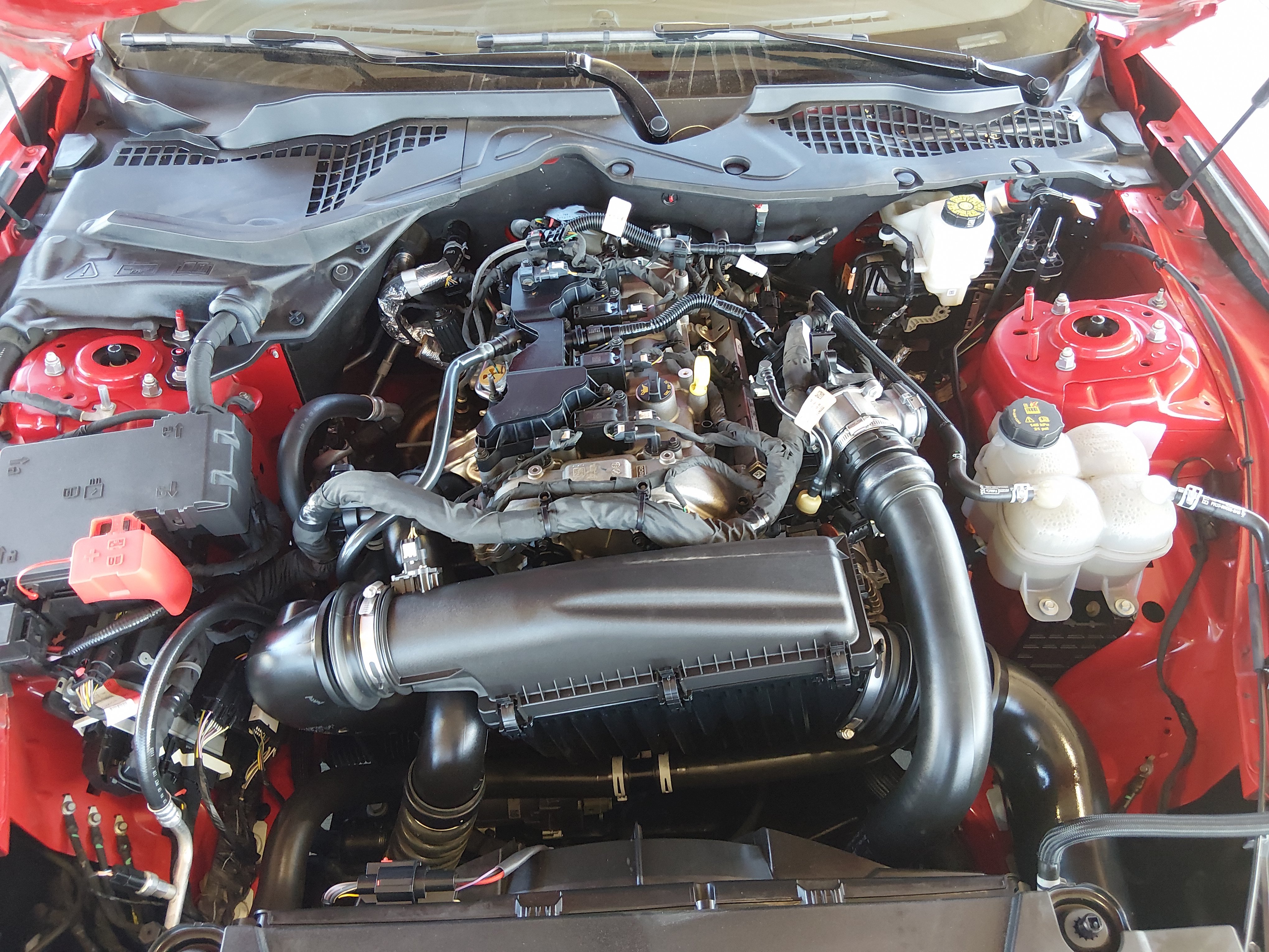 2024 Ford Mustang EcoBoost - Photo 9