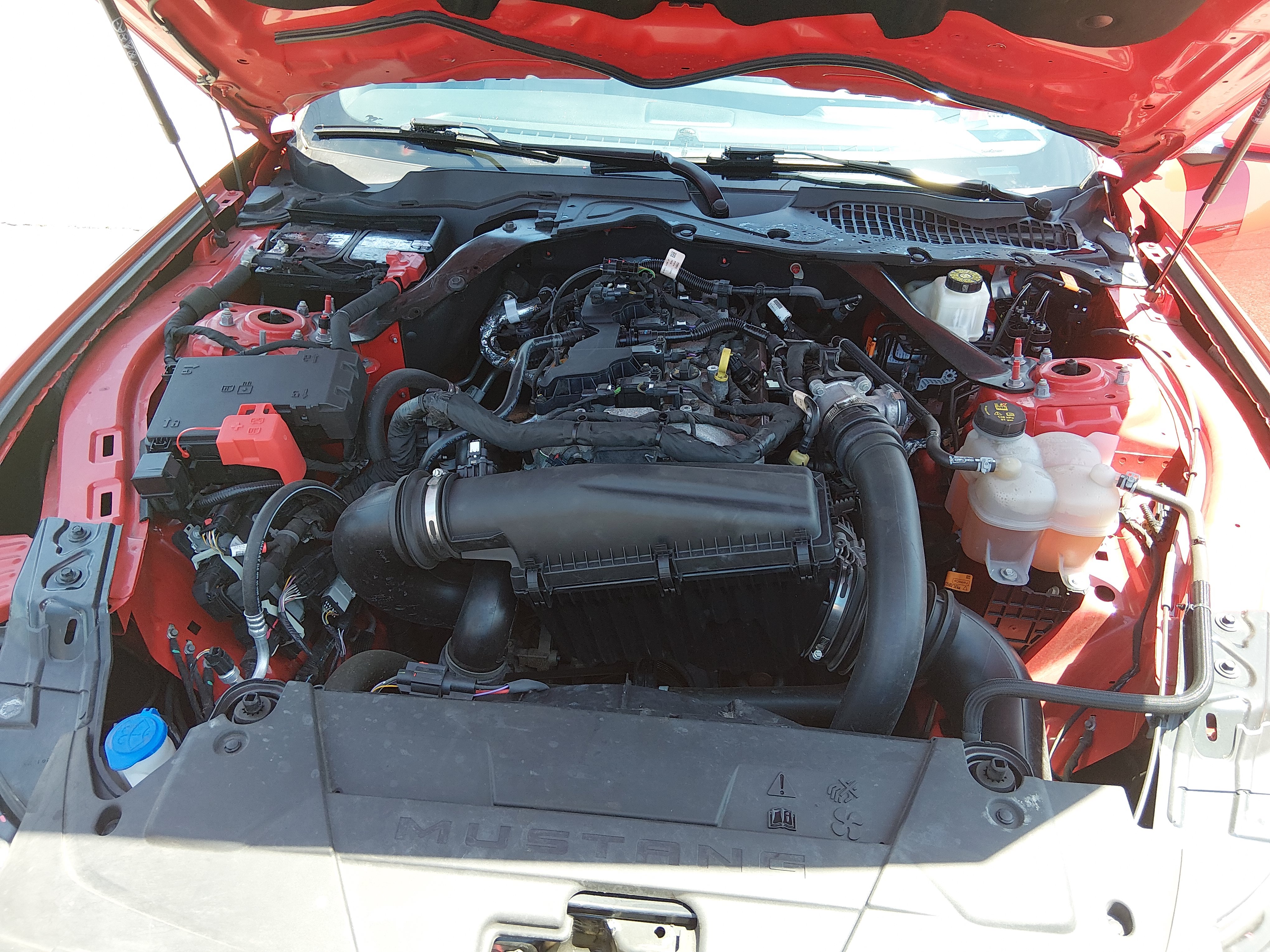 2024 Ford Mustang EcoBoost Premium - Photo 9