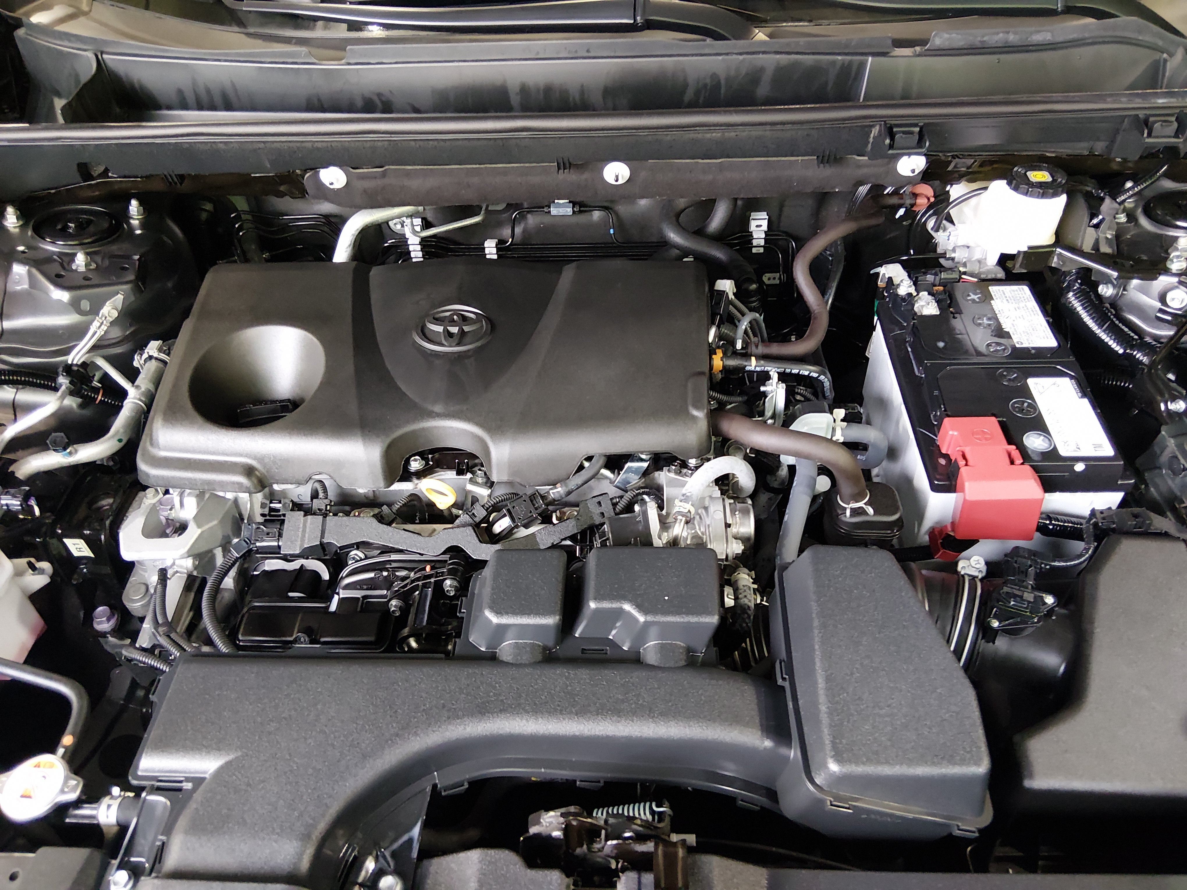 2025 Toyota RAV4 XLE - Photo 9