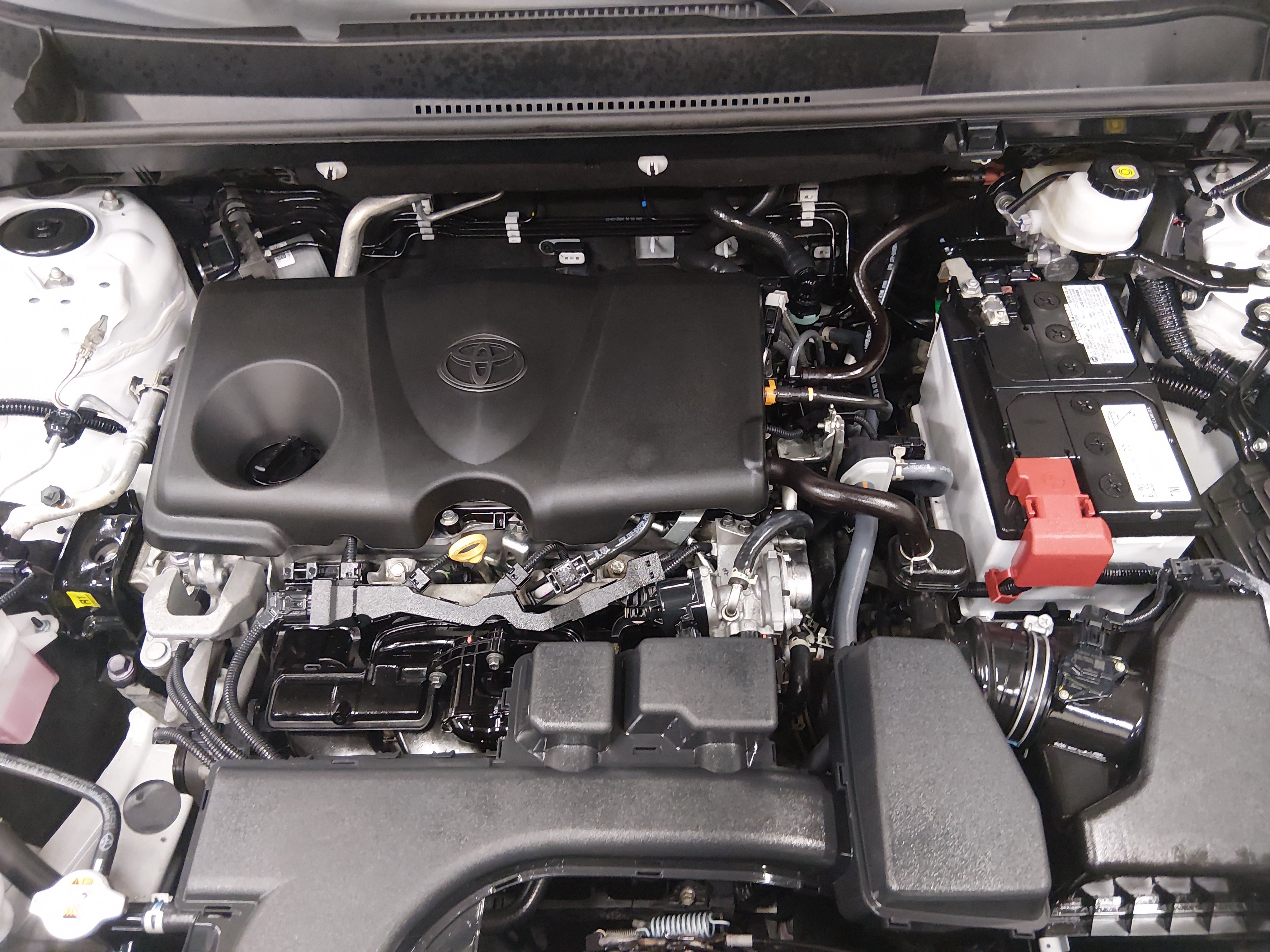 2024 Toyota RAV4 XLE - Photo 9
