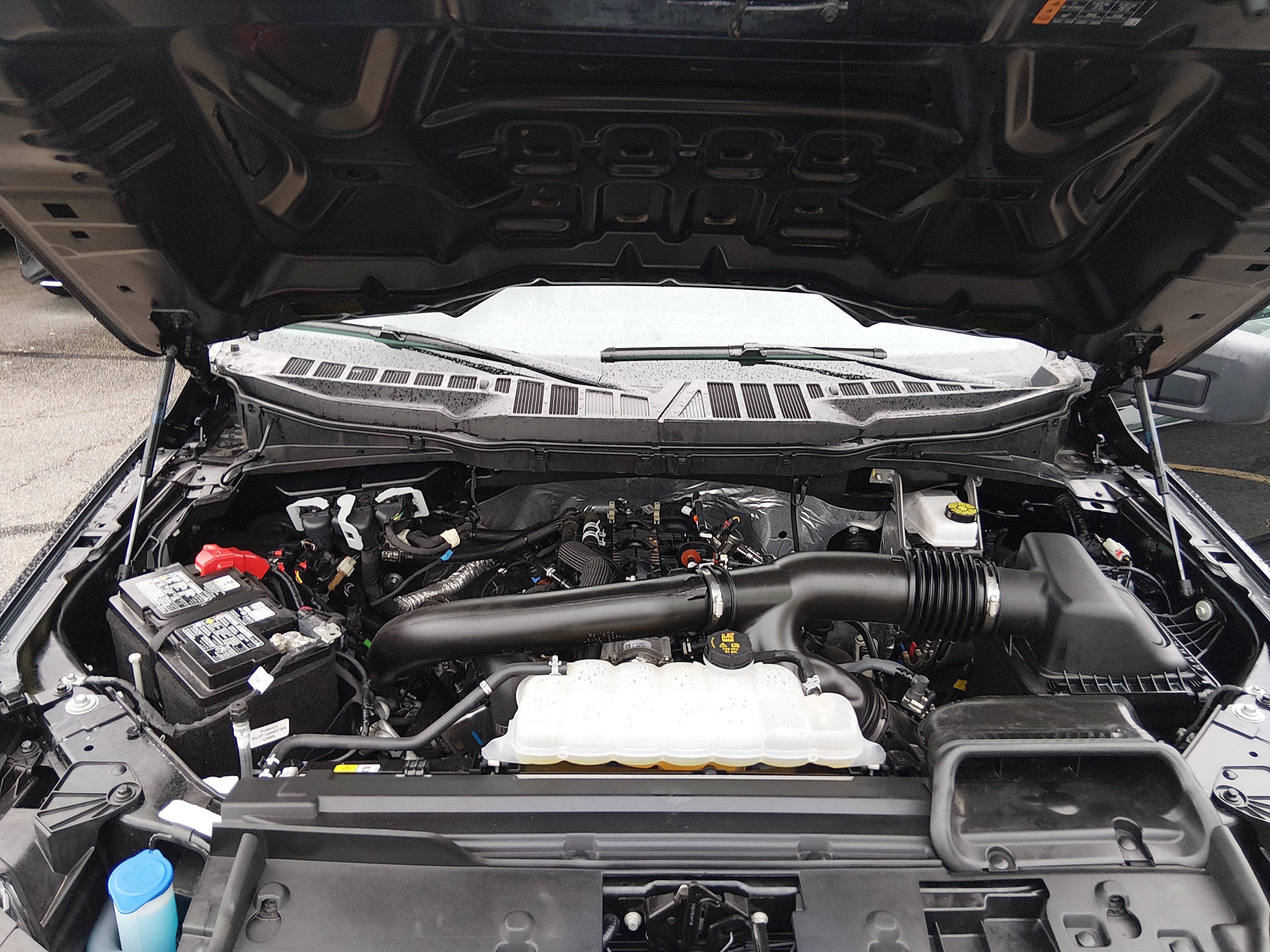 2025 Ford F-150 XLT - Photo 9