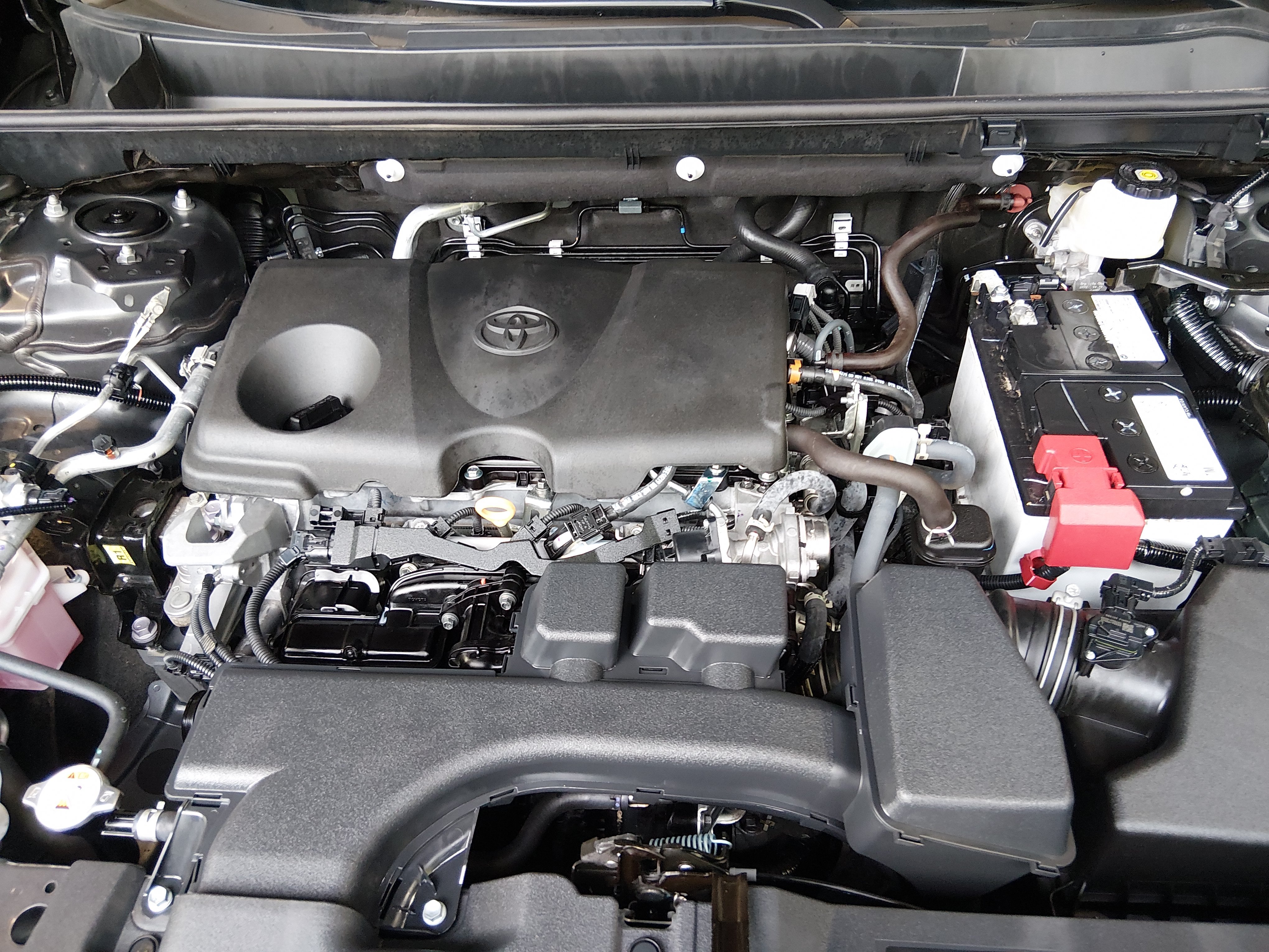 2025 Toyota RAV4 XLE - Photo 9