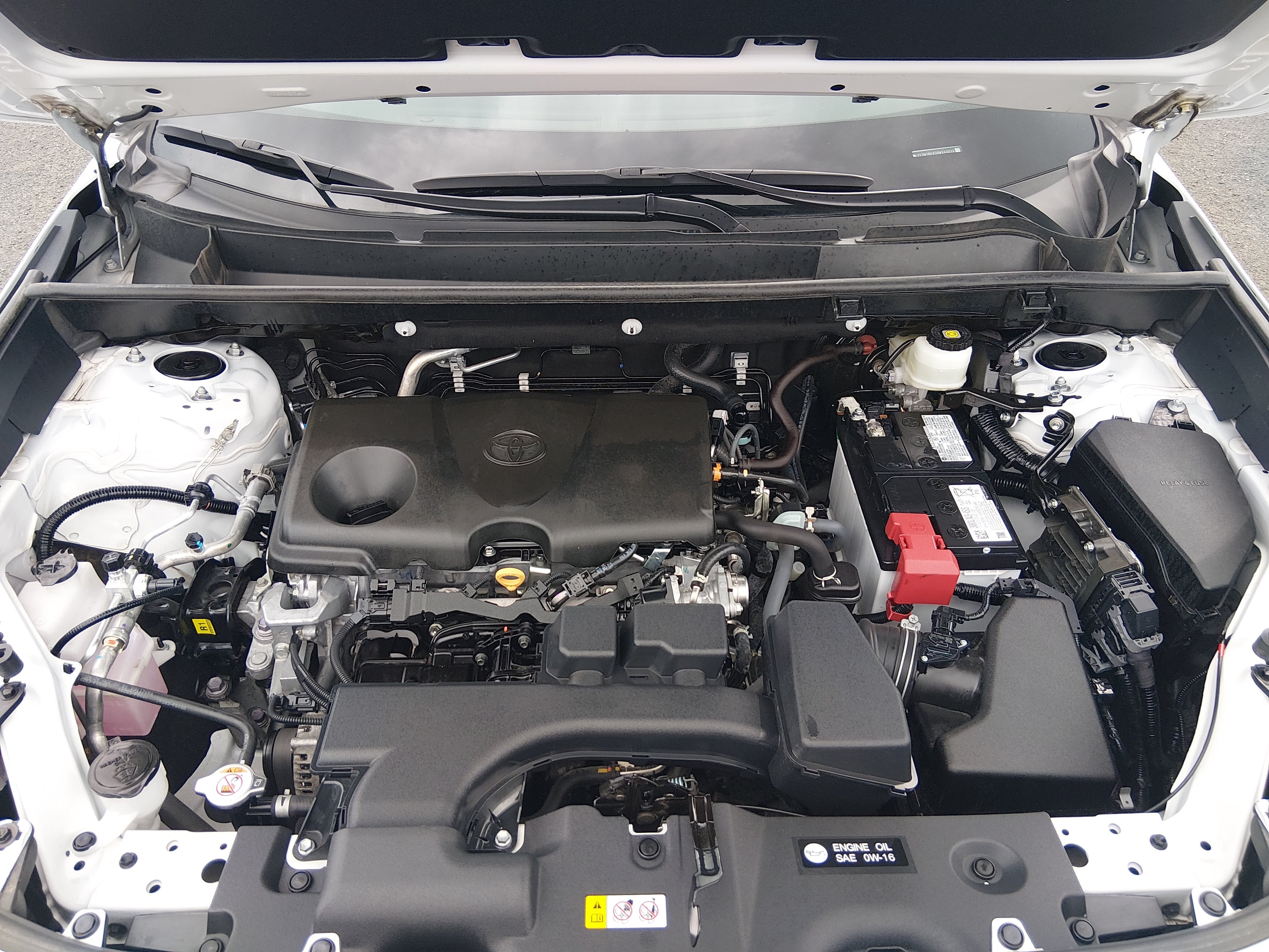 2024 Toyota RAV4 XLE - Photo 9