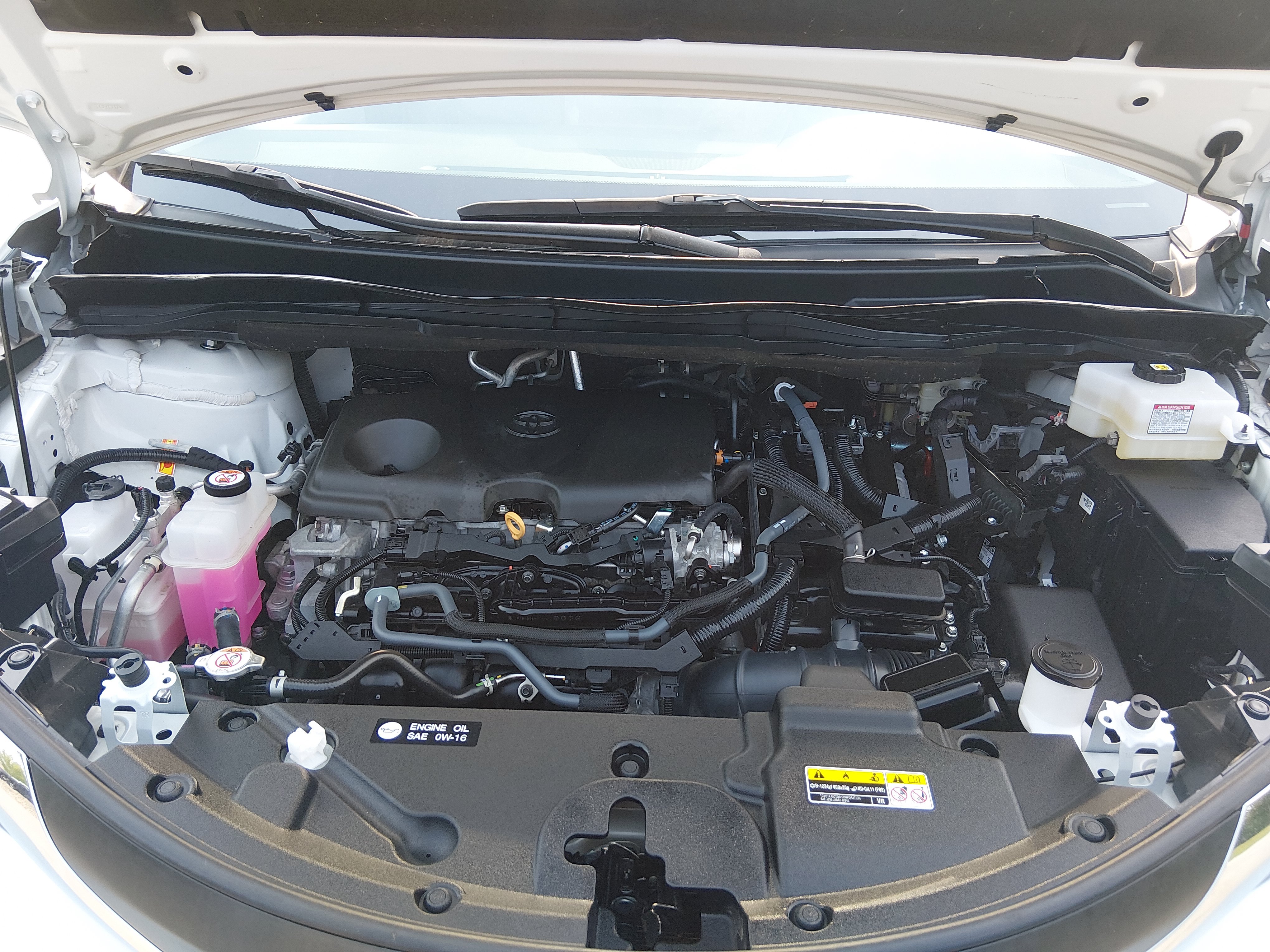 2025 Toyota Sienna XLE - Photo 9